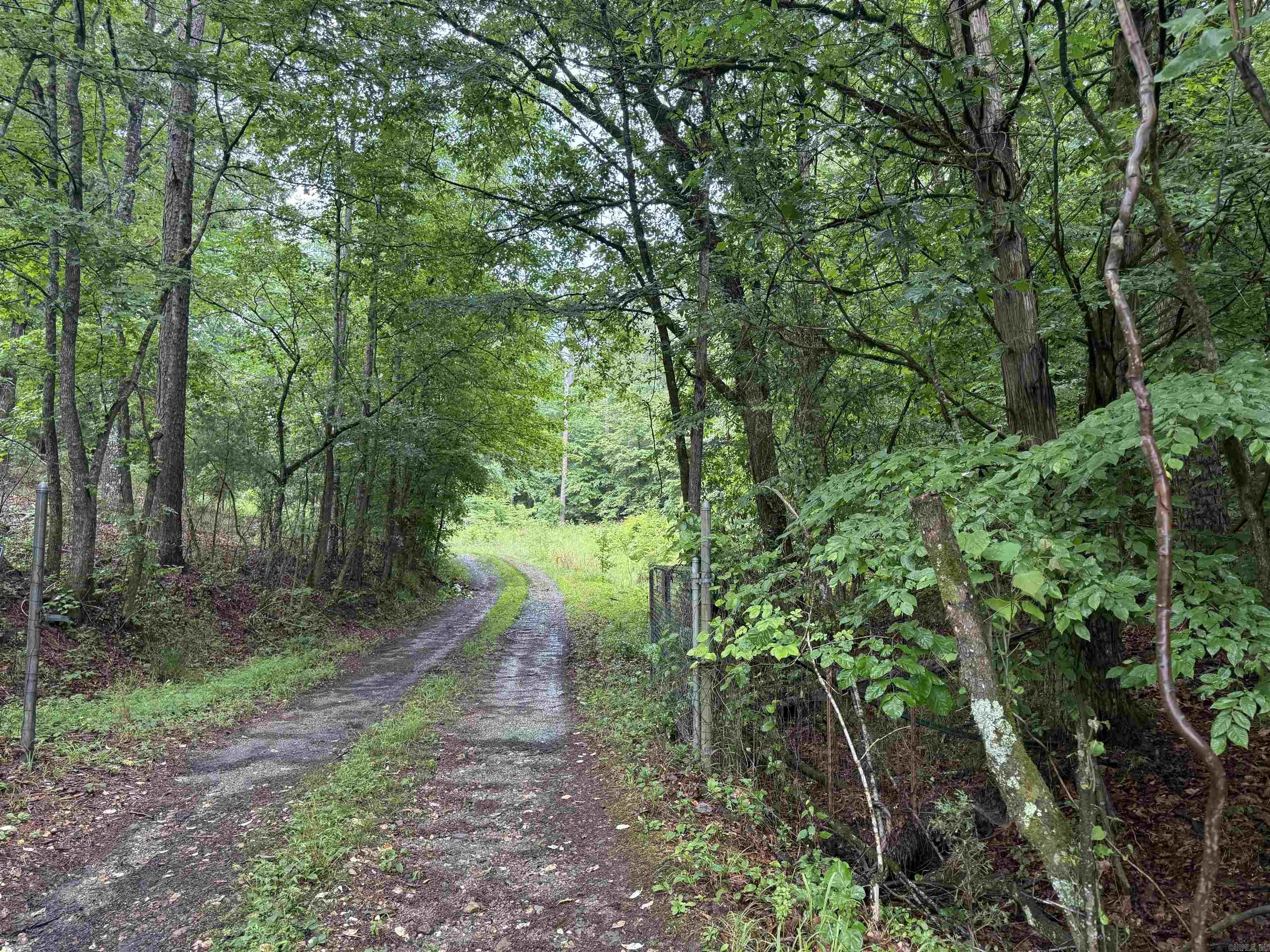 2494 Beaudry  Jessieville, AR
