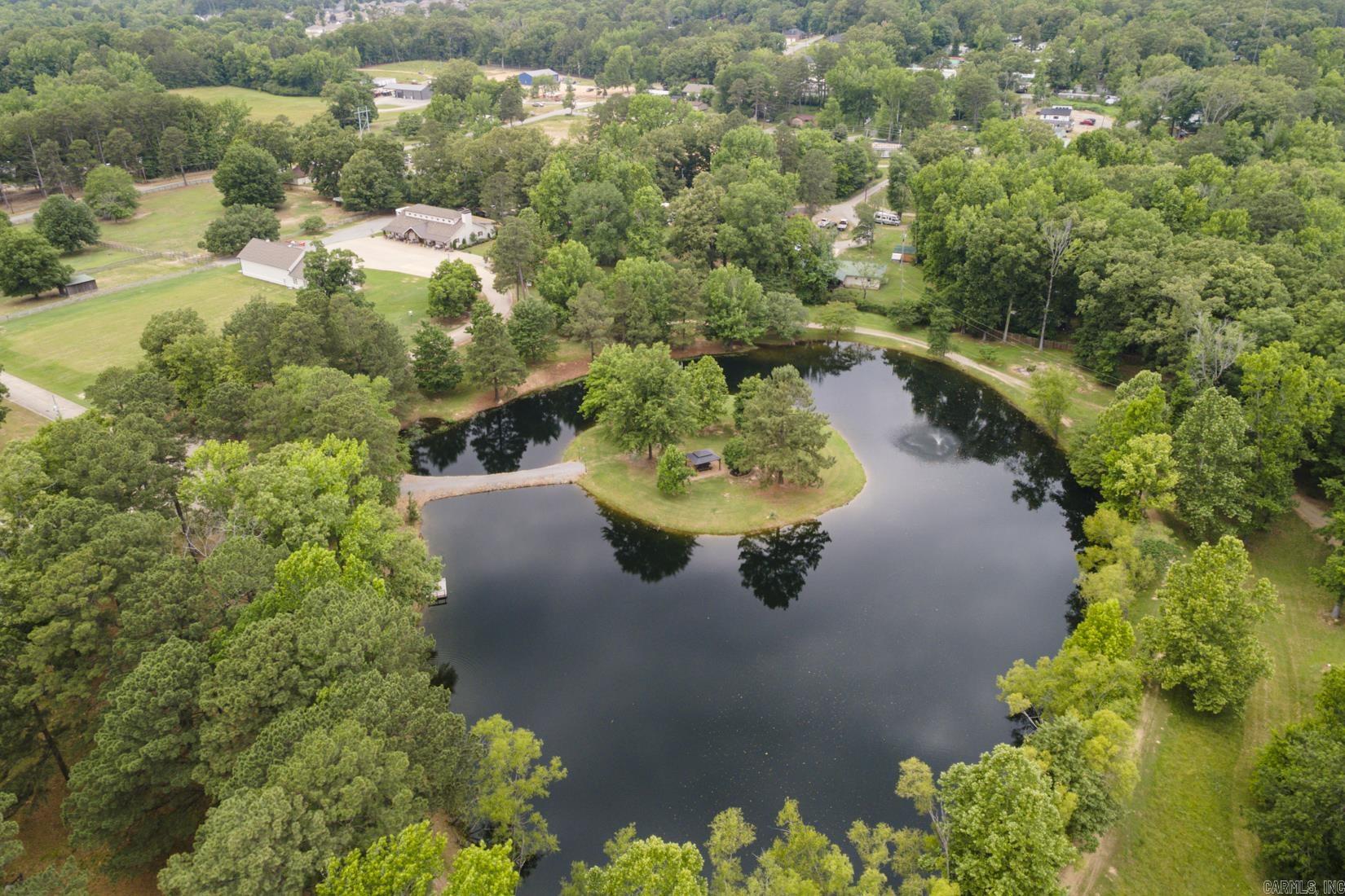 1202 Hilldale Cove Alexander, AR 72002