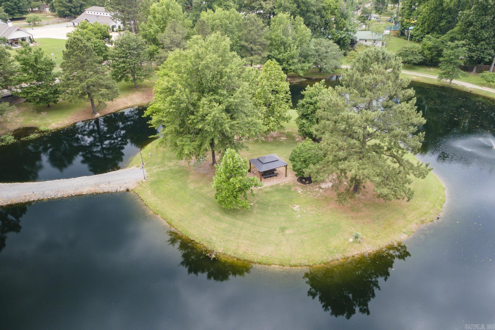 1202 Hilldale Cove Alexander, AR 72002
