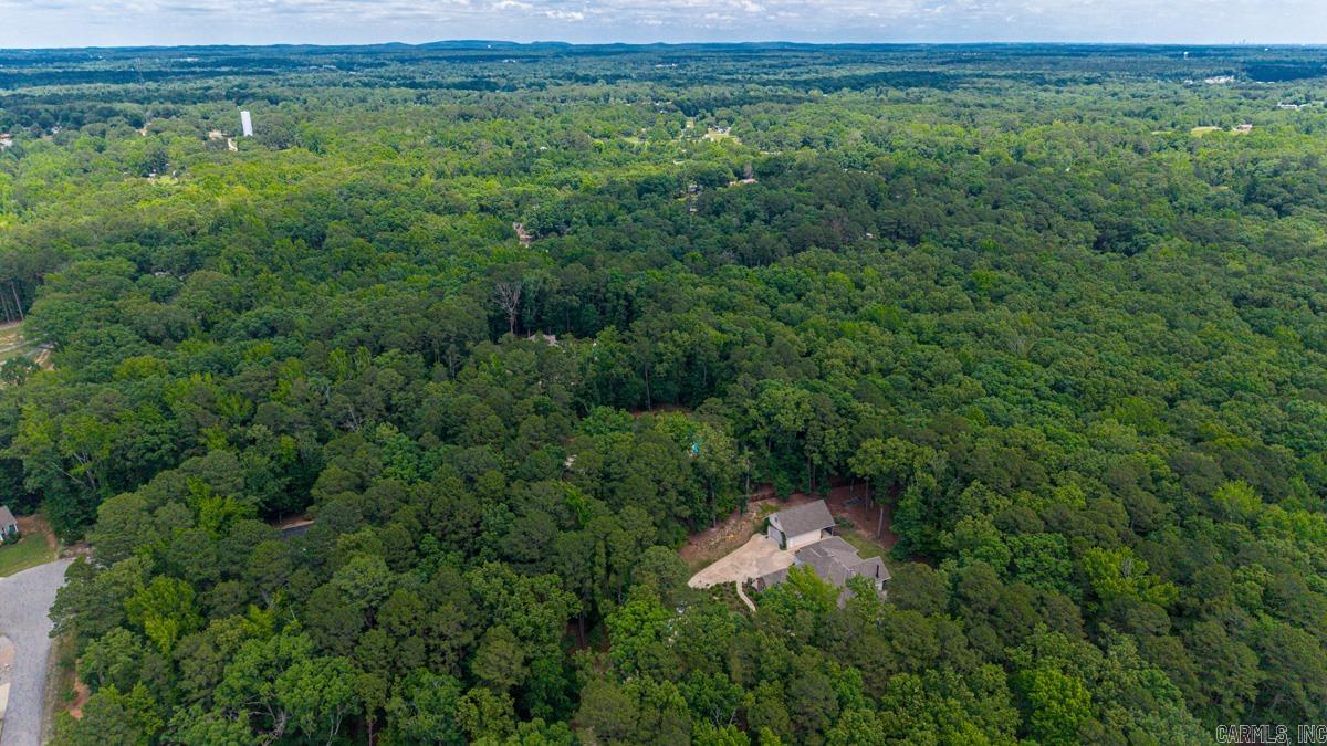 525 Forest Pond Lane  Benton, AR