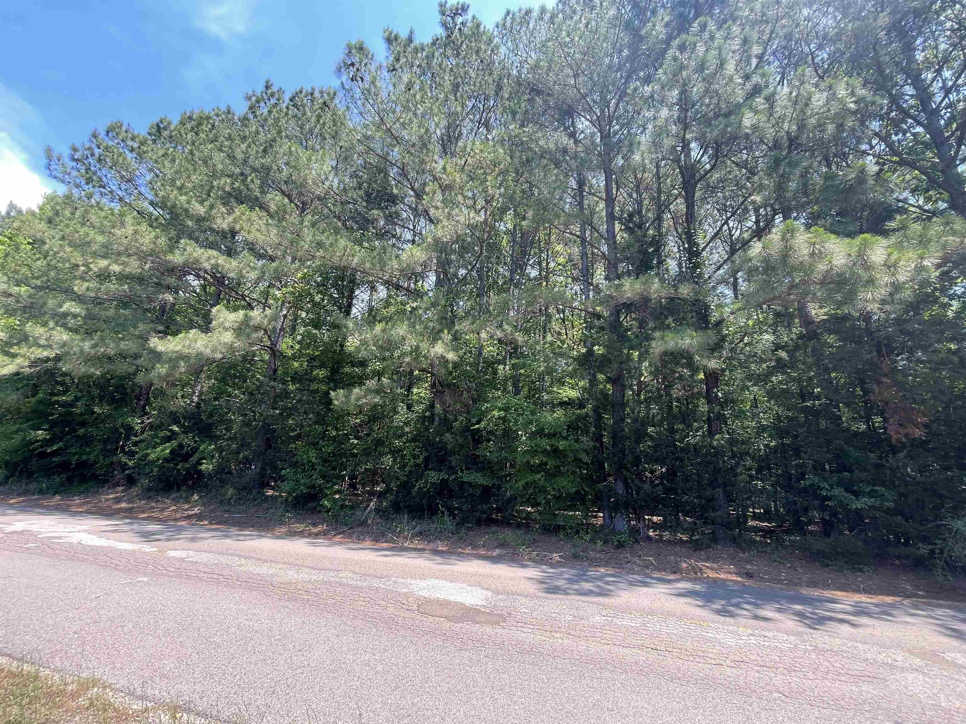 237 Cottonshed  Mineral Sprs., AR