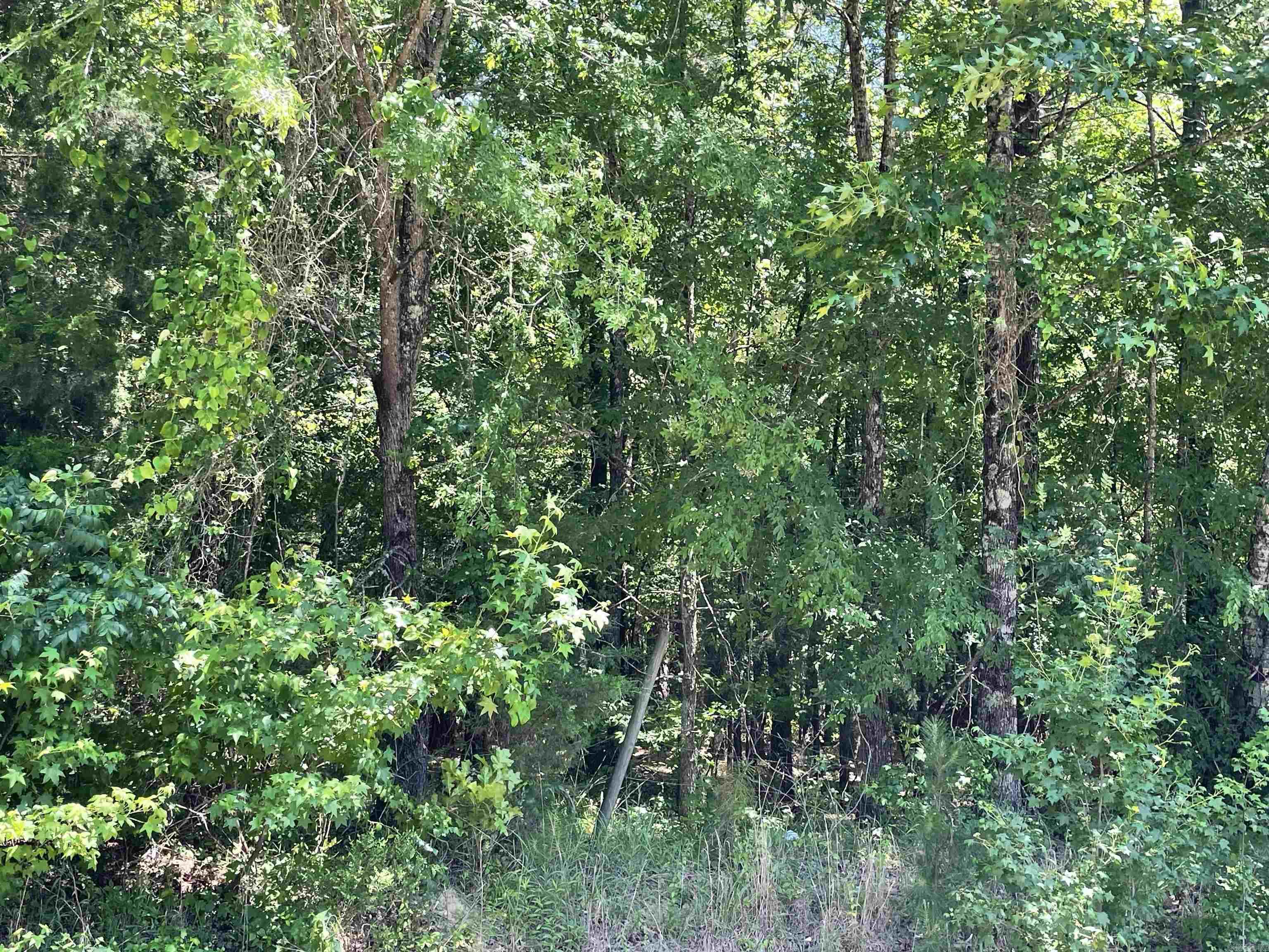 237 Cottonshed  Mineral Sprs., AR