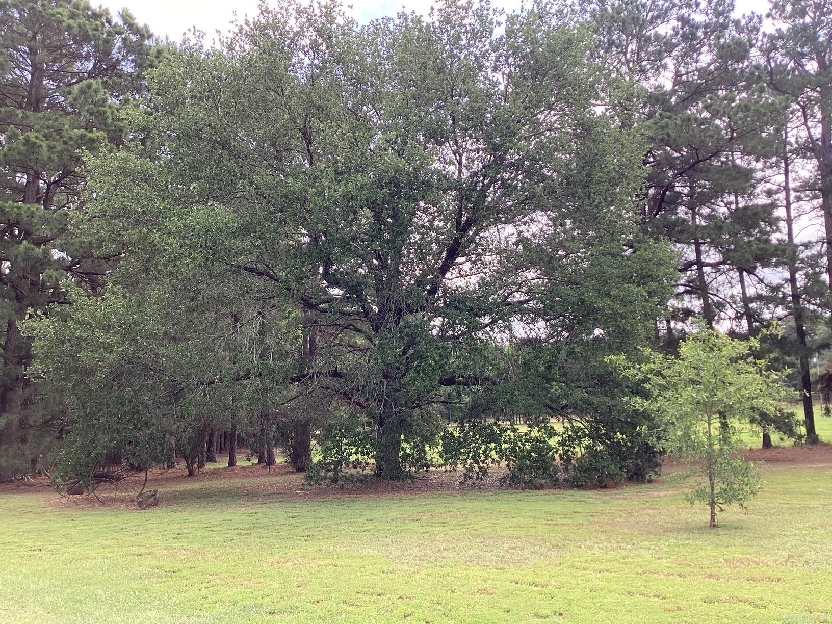 732 Nevada 249  Prescott, AR