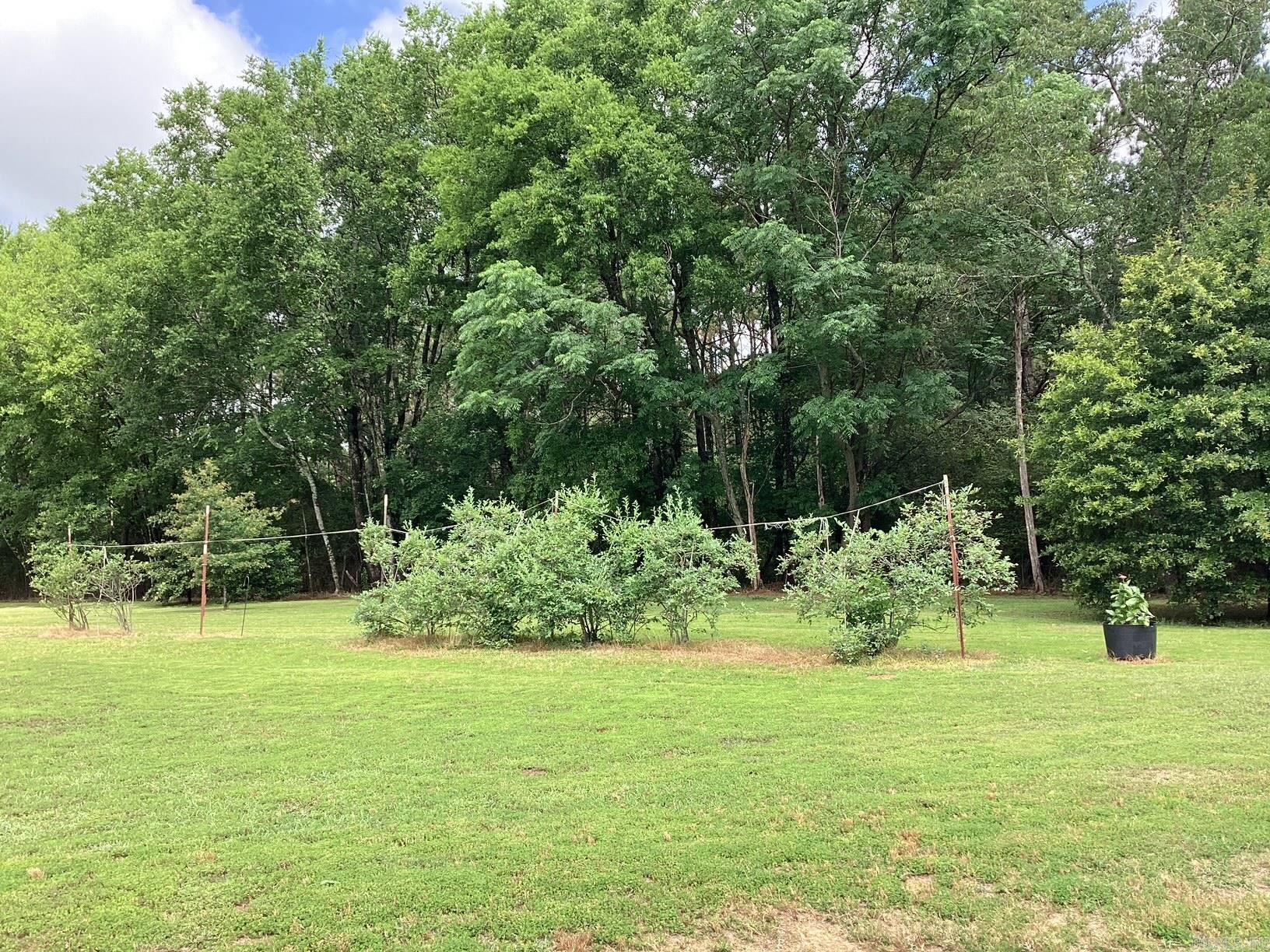 732 Nevada 249  Prescott, AR