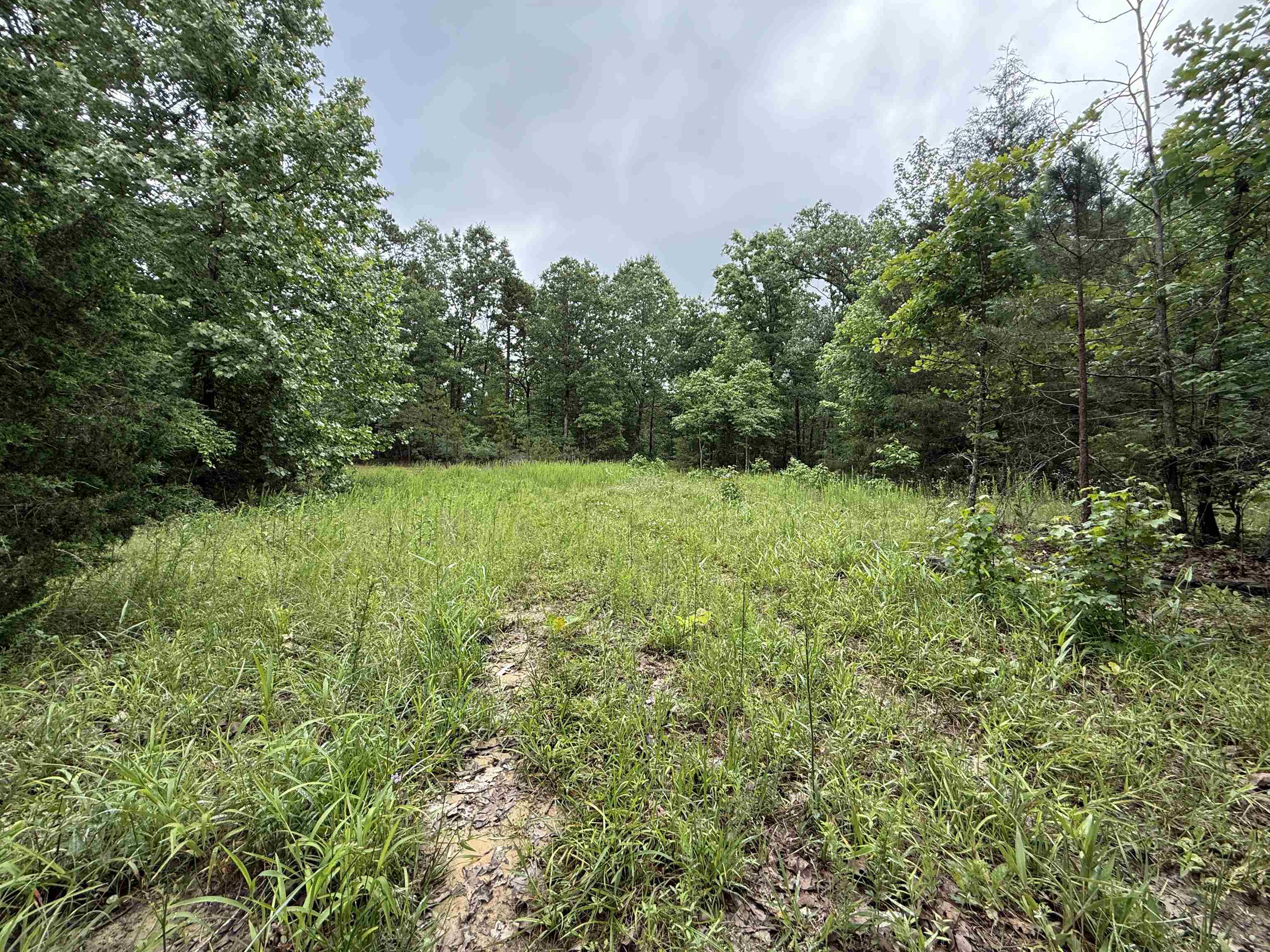 120 Cr 23  Melbourne, AR