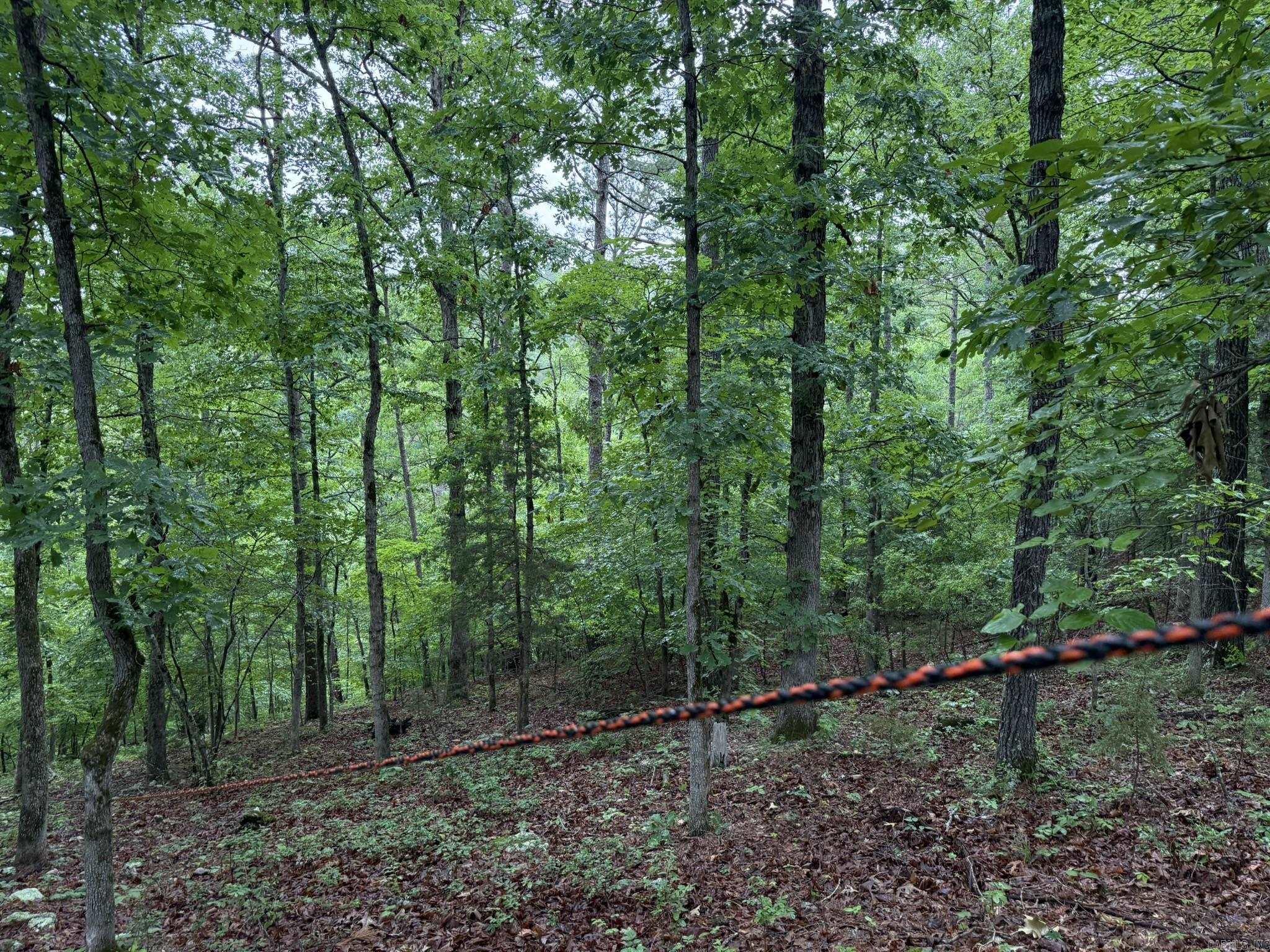 37 Tall Pine  Norfork, AR