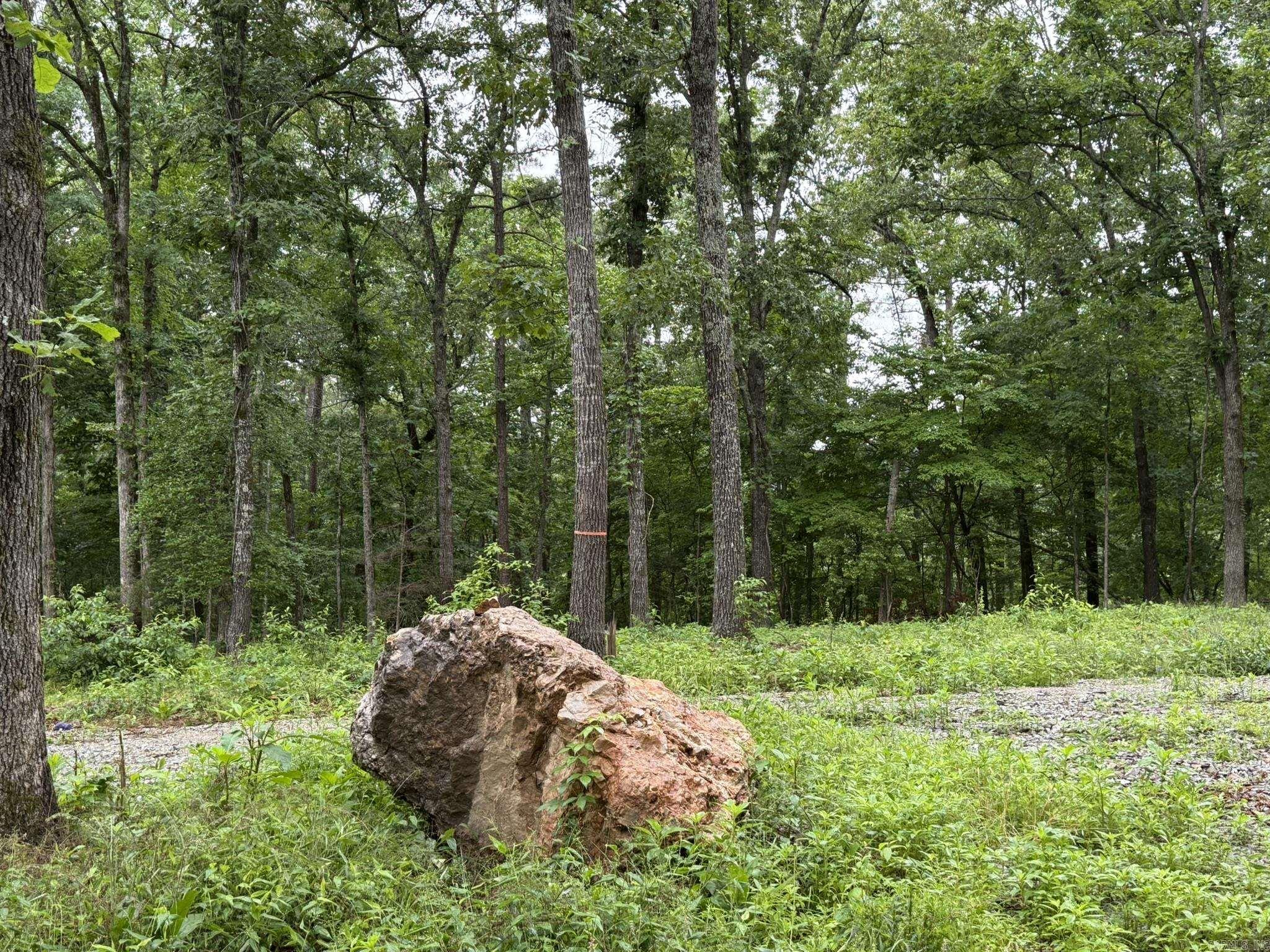 37 Tall Pine  Norfork, AR