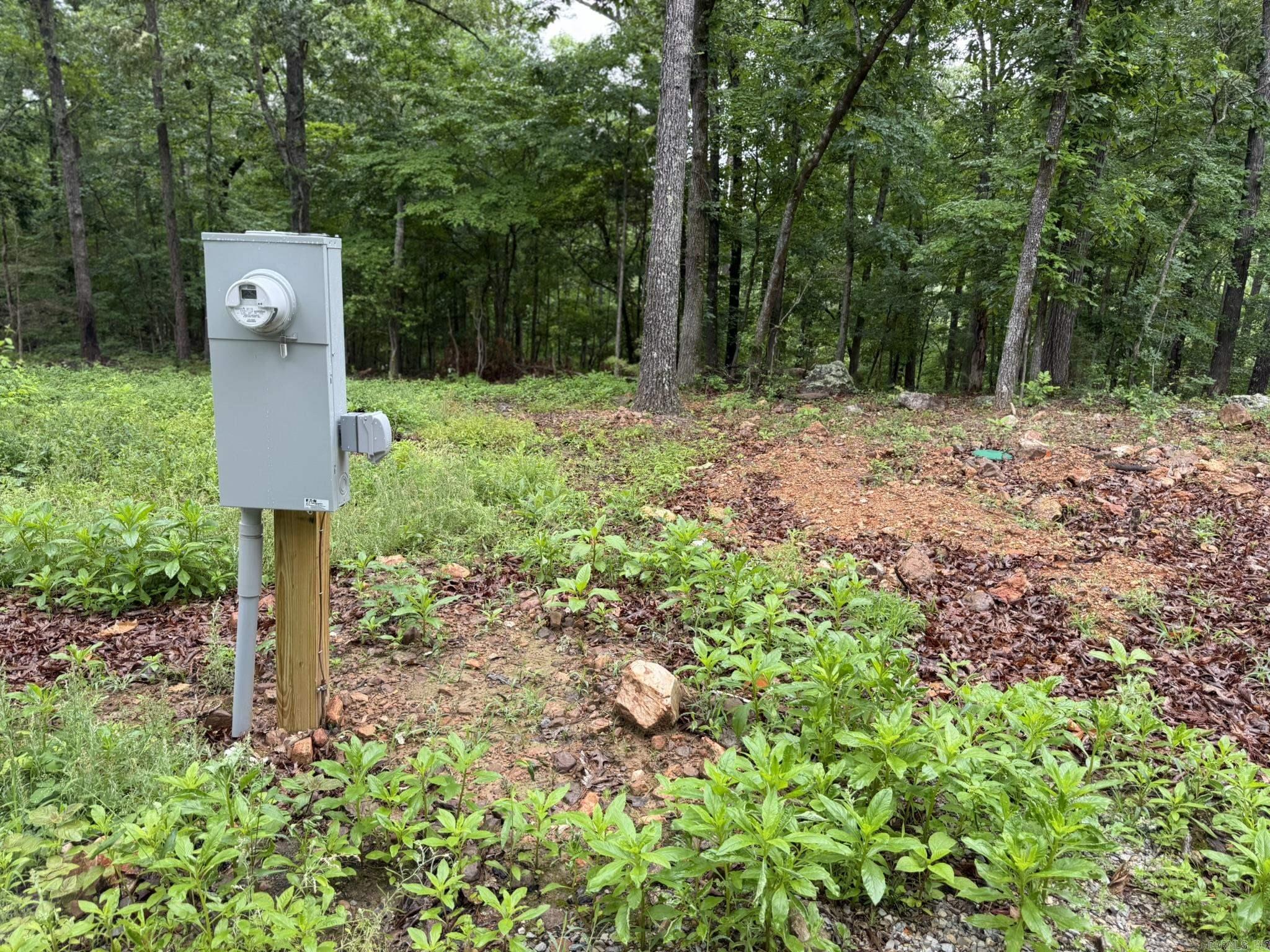 37 Tall Pine  Norfork, AR