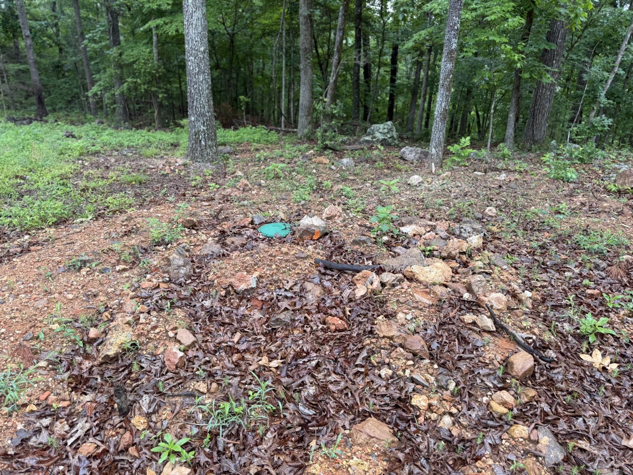 37 Tall Pine  Norfork, AR