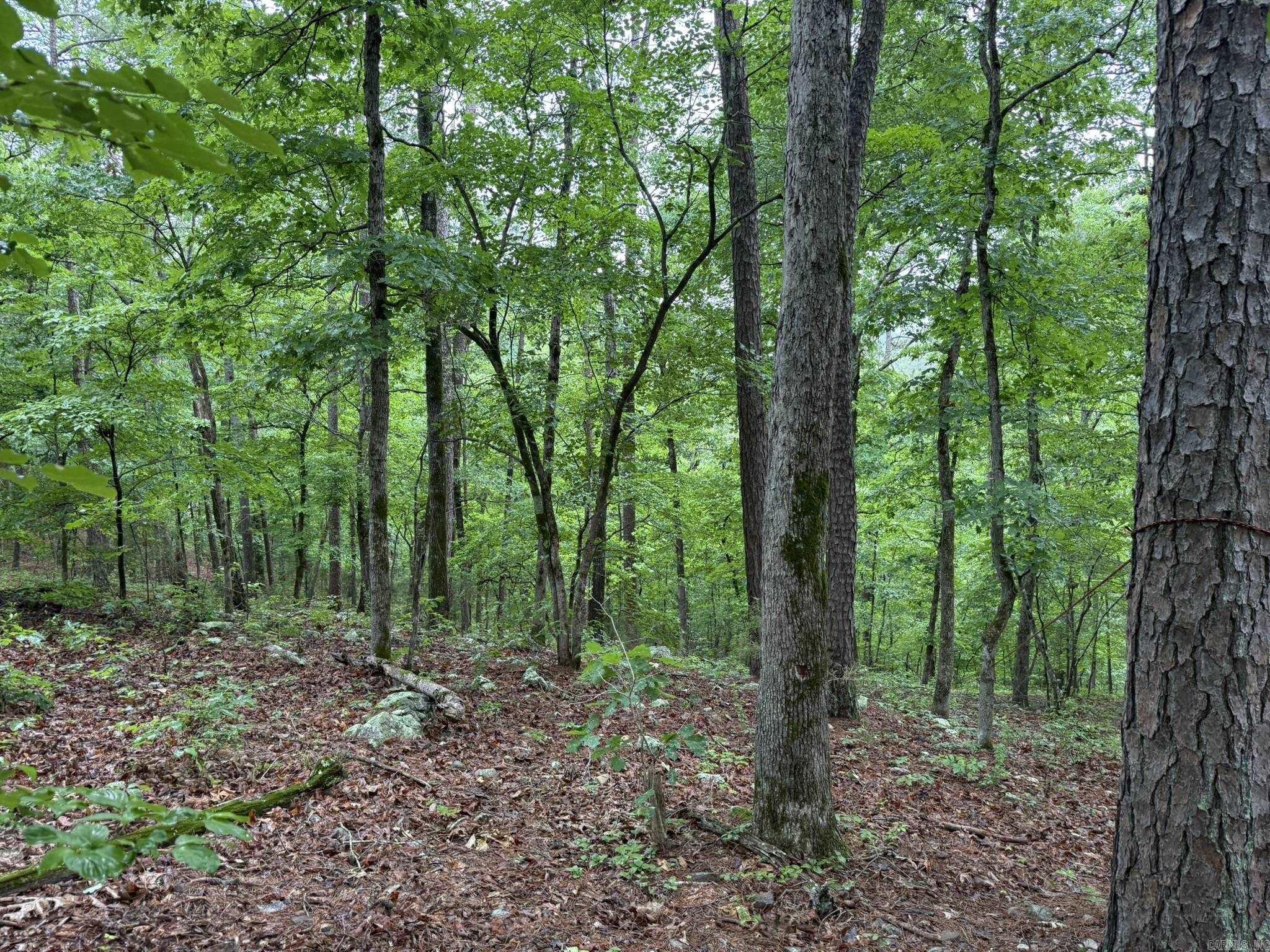 37 Tall Pine  Norfork, AR