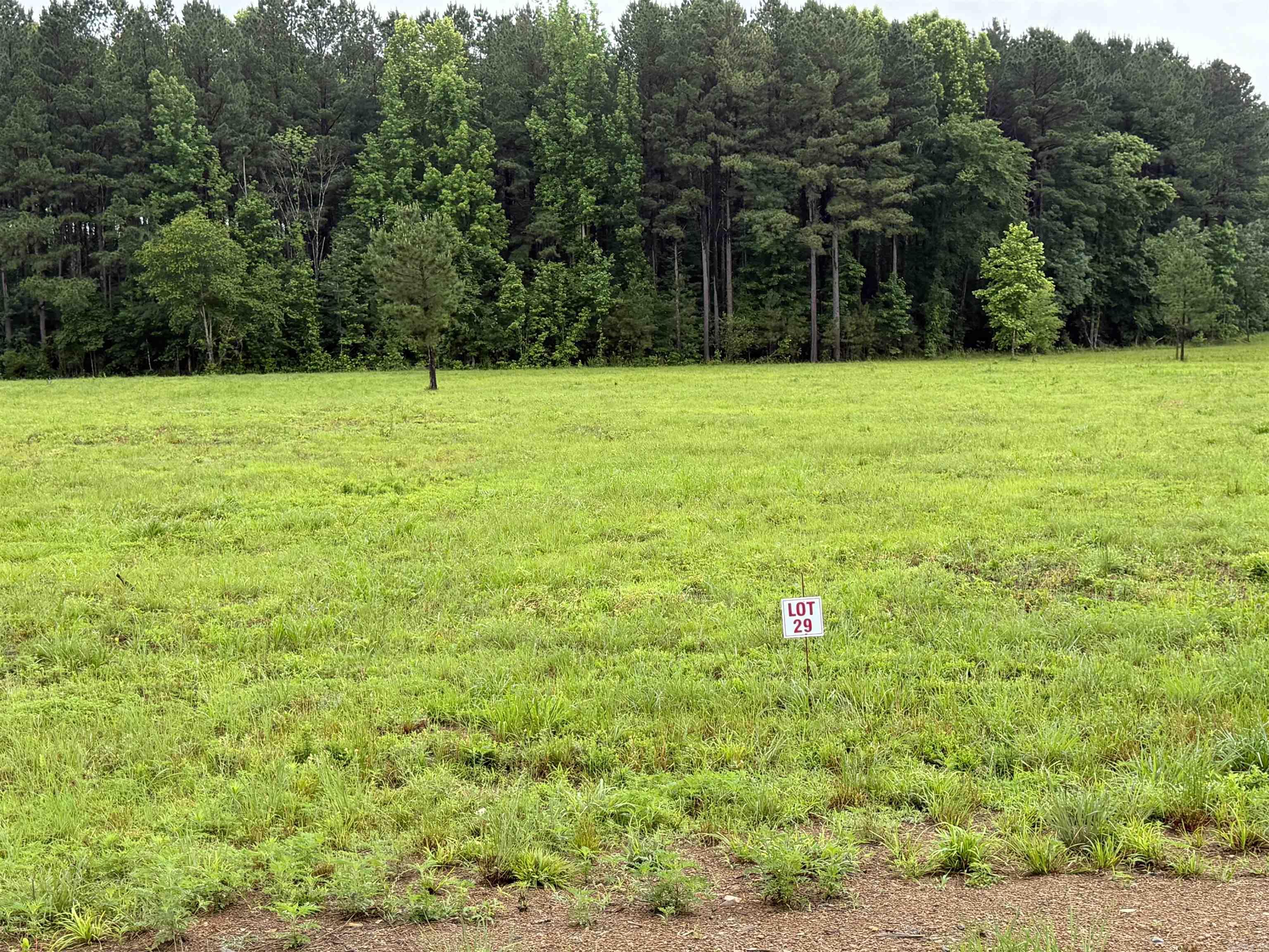Lot 10-29 Old River Rd  Pangburn, AR