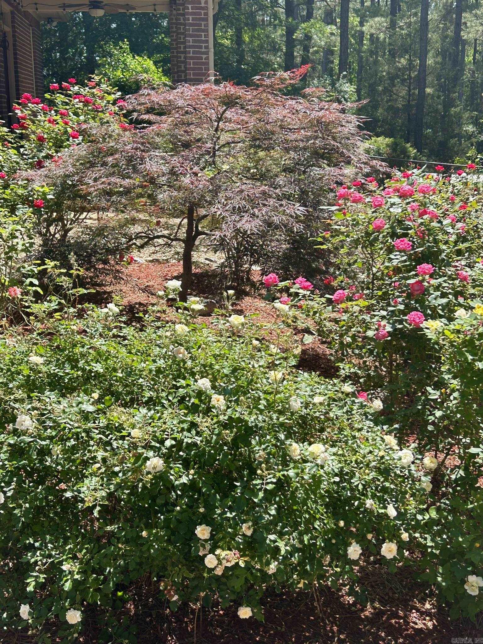 1 Victoria Lane  Hot Springs Village, AR