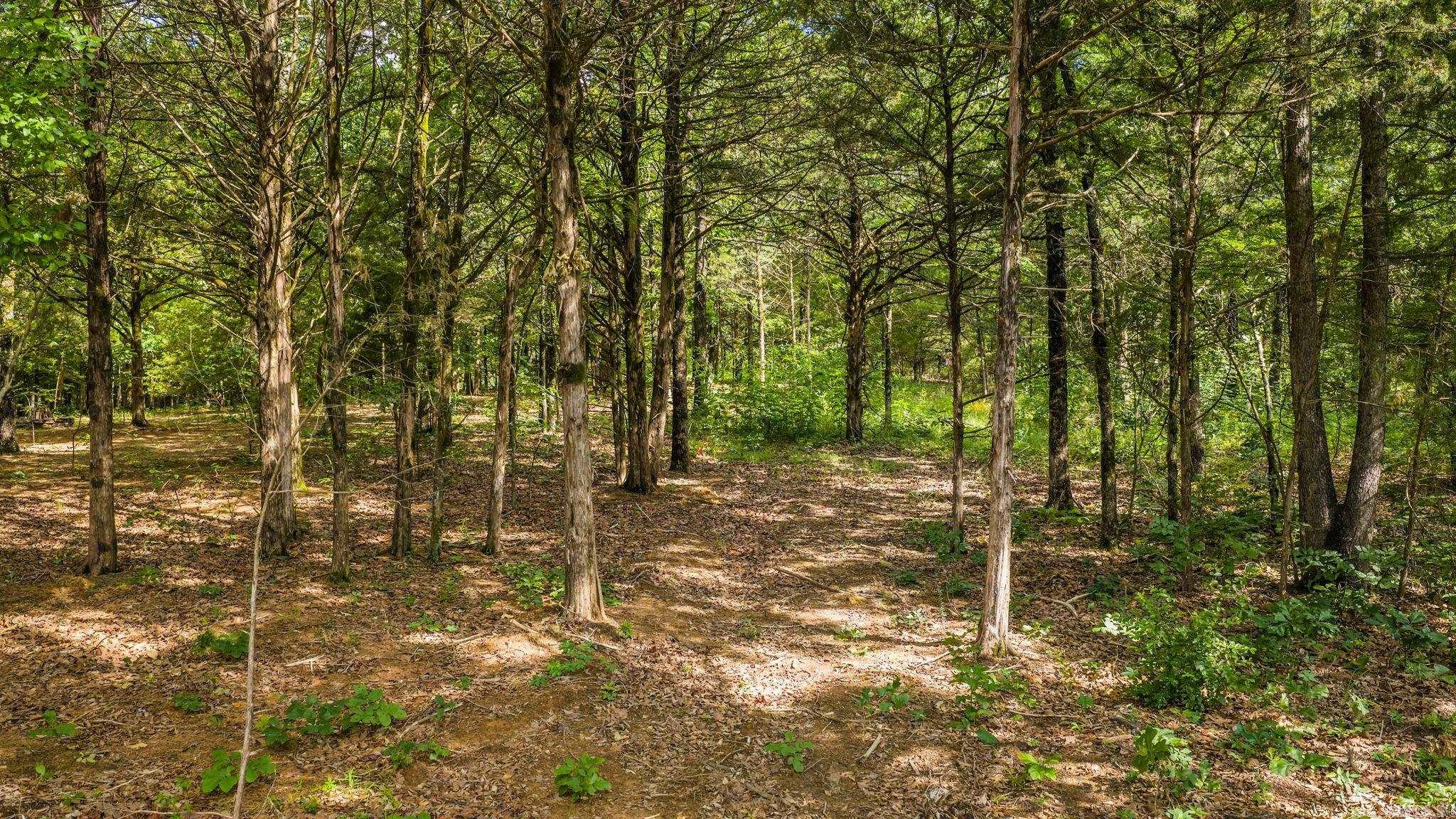 28 Sky Eagle  Greenbrier, AR