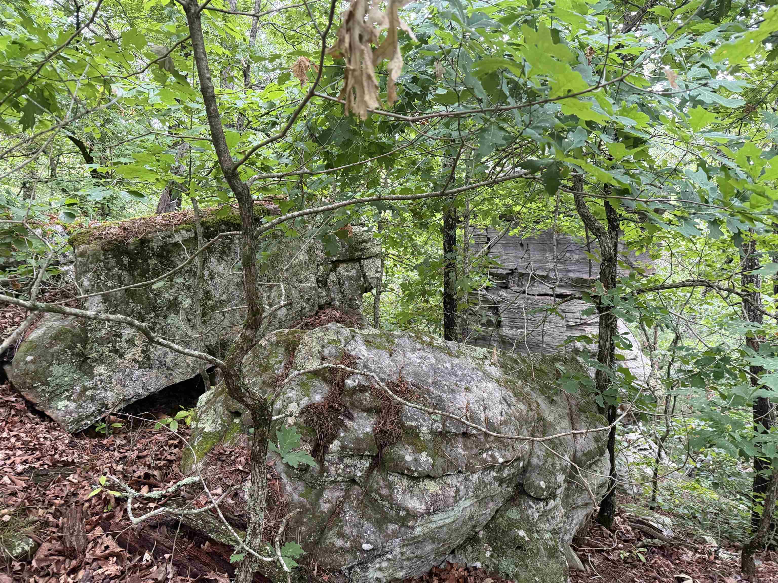 1031 Old Dolph Road  Calico Rock, AR