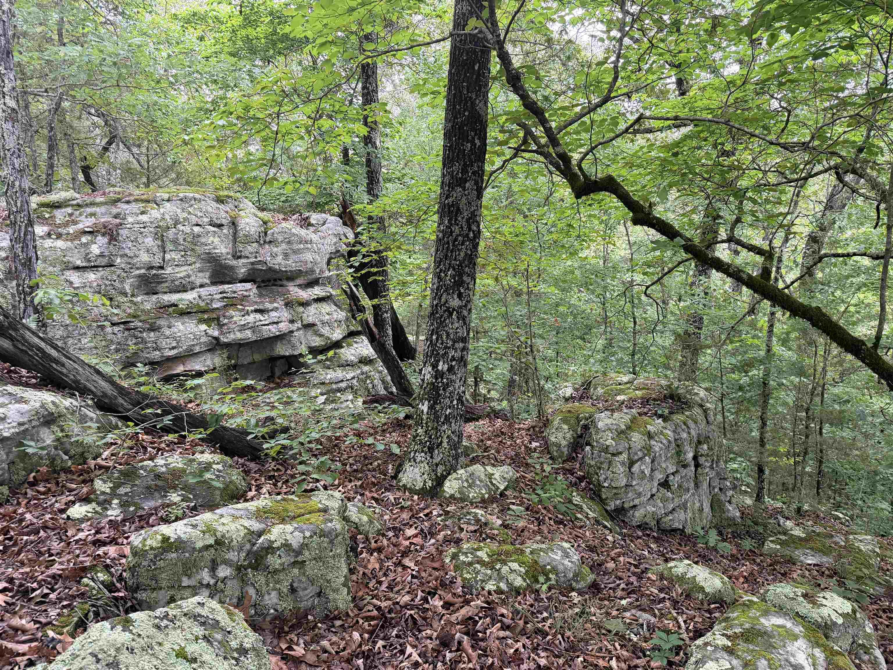 1031 Old Dolph Road  Calico Rock, AR