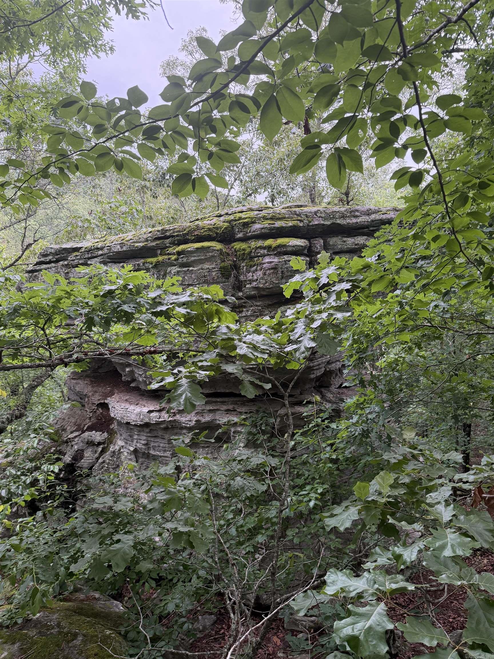 1031 Old Dolph Road  Calico Rock, AR