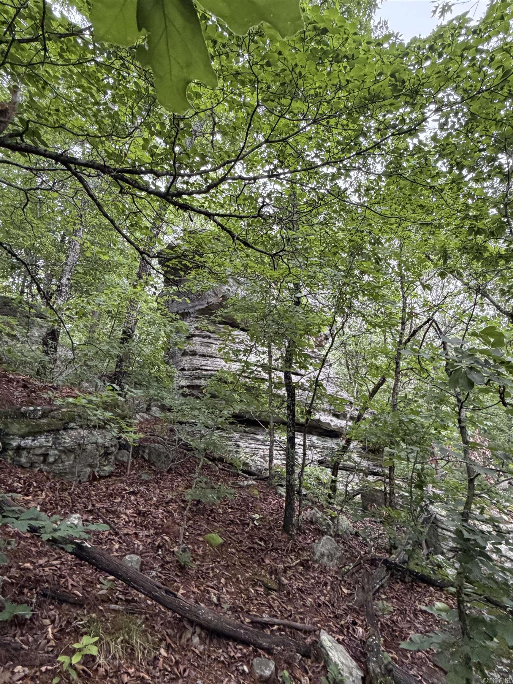 1031 Old Dolph Road  Calico Rock, AR