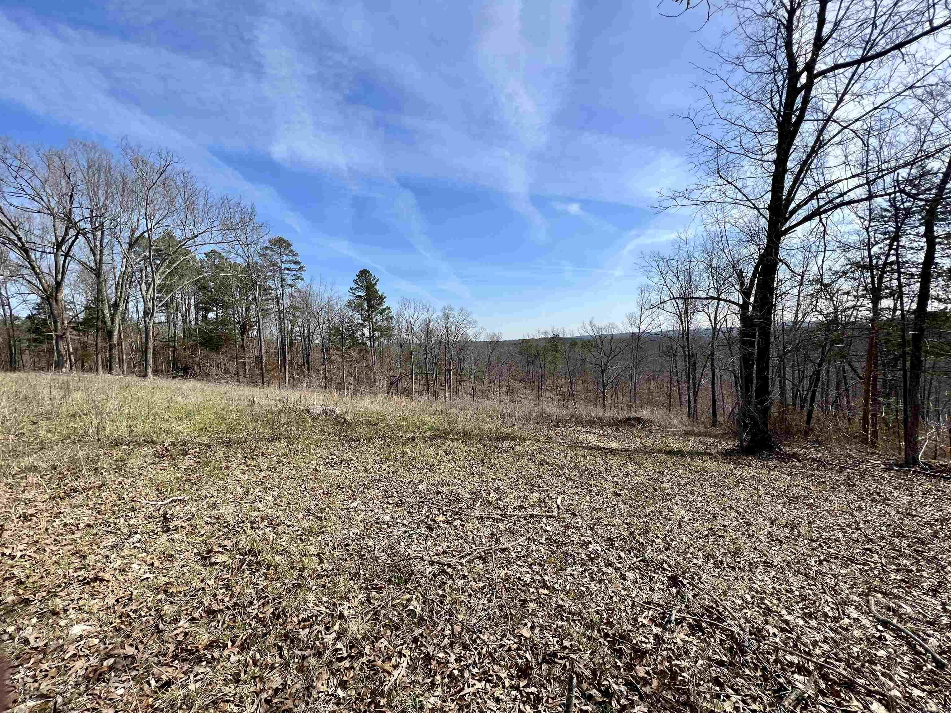 Tract 4 Ramblewood Trail  Yellville, AR