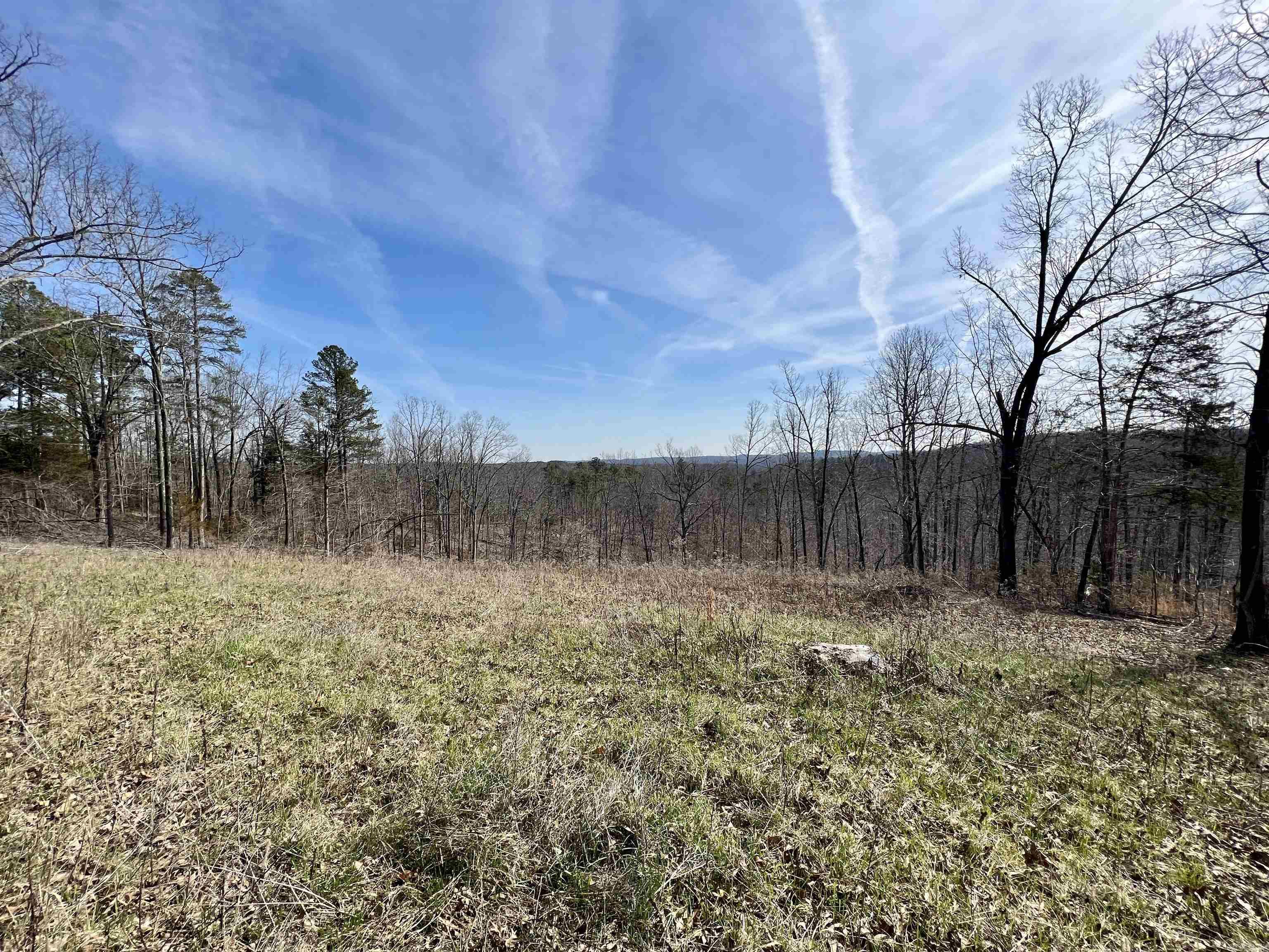 Tract 4 Ramblewood Trail  Yellville, AR