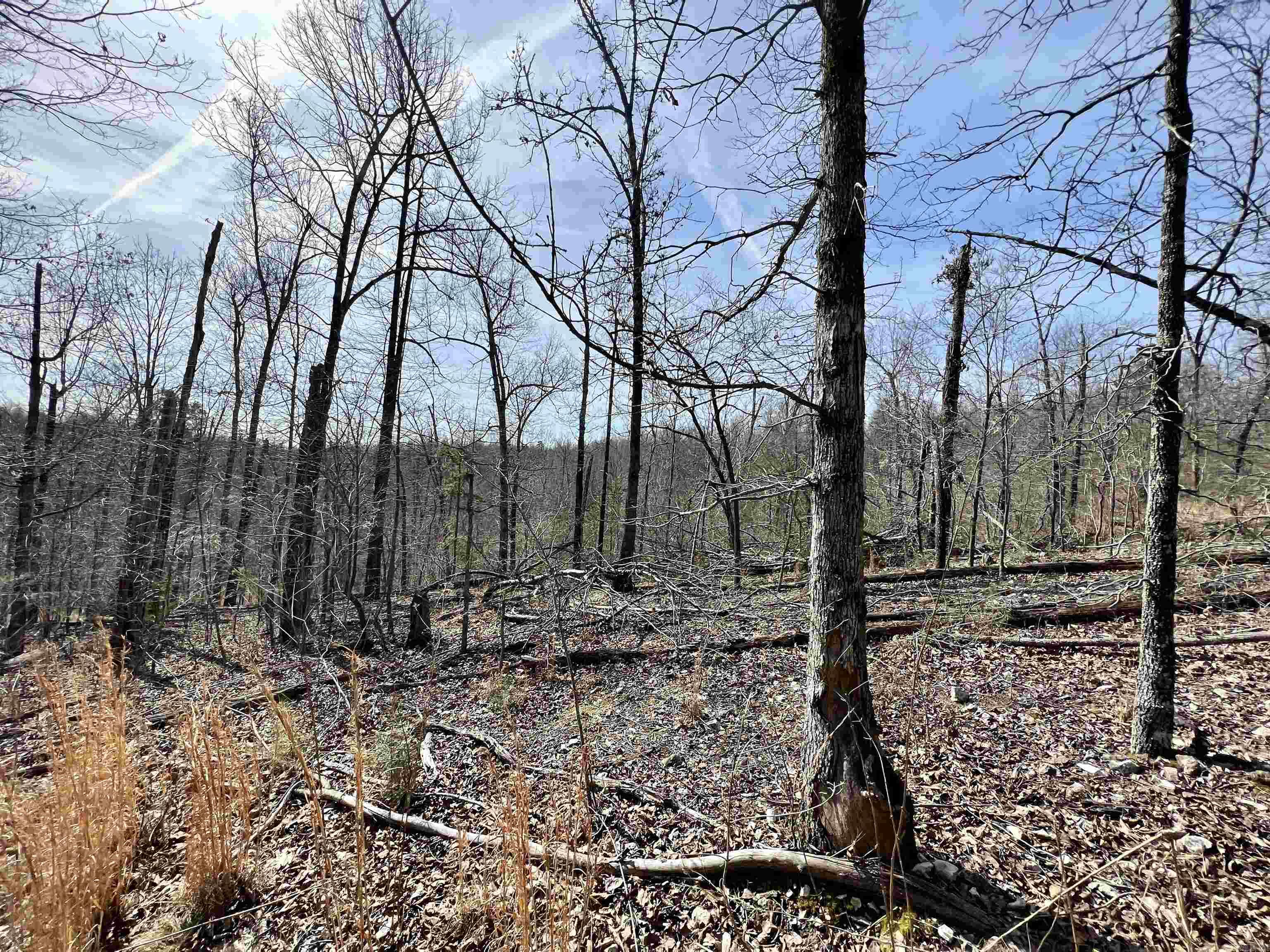 Tract 4 Ramblewood Trail  Yellville, AR