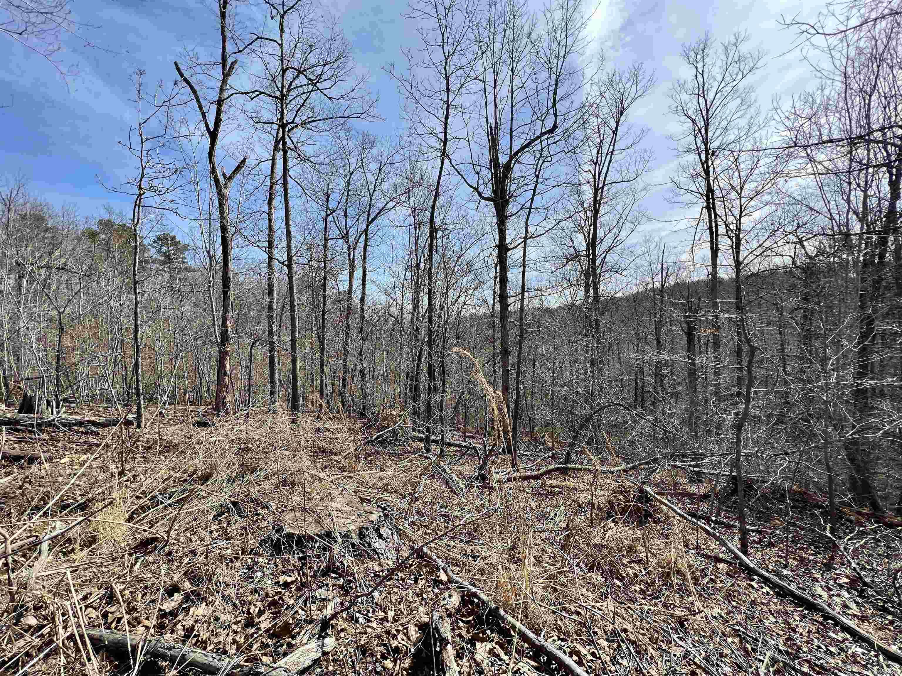 Tract 4 Ramblewood Trail  Yellville, AR