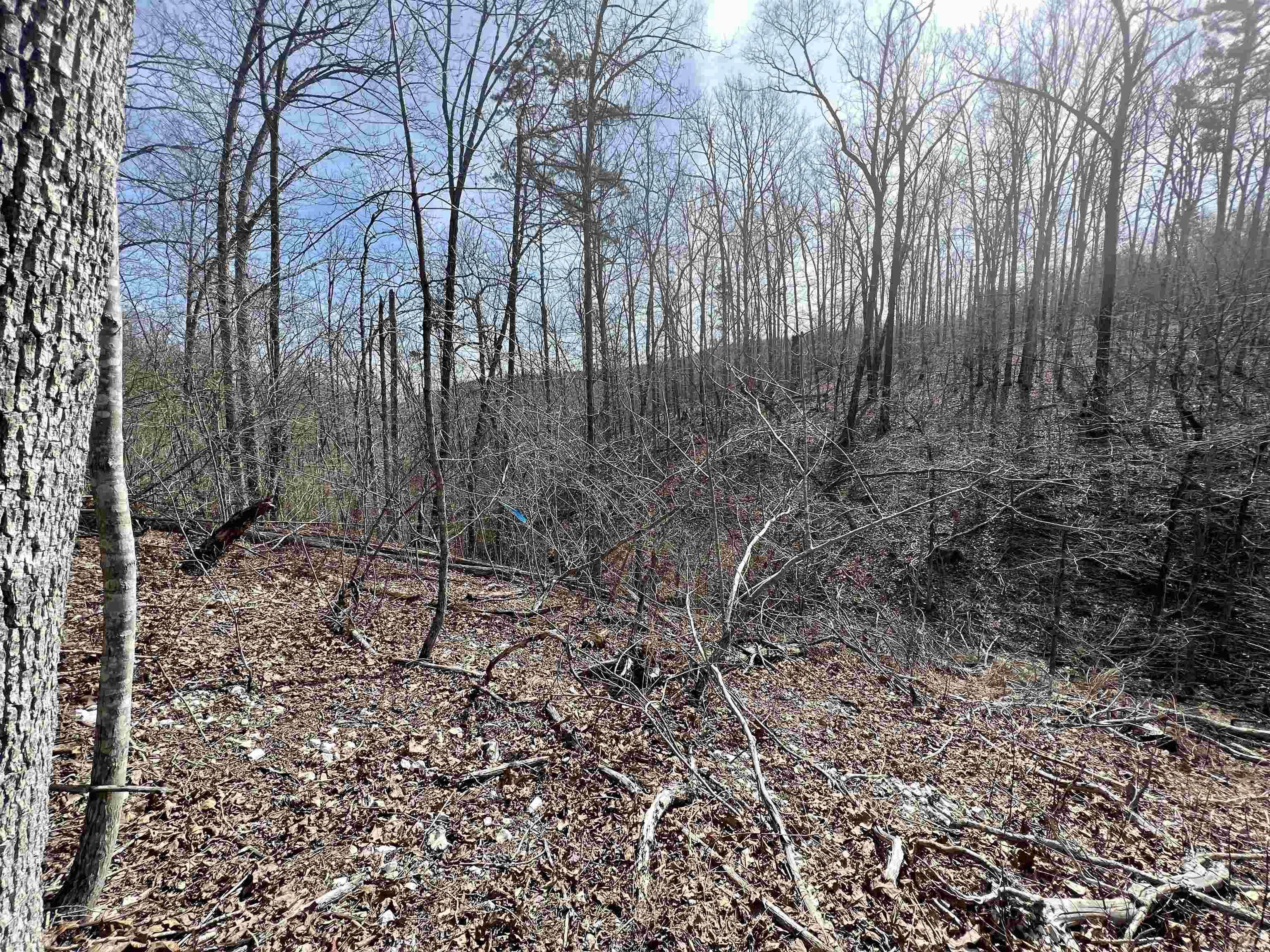 Tract 4 Ramblewood Trail  Yellville, AR