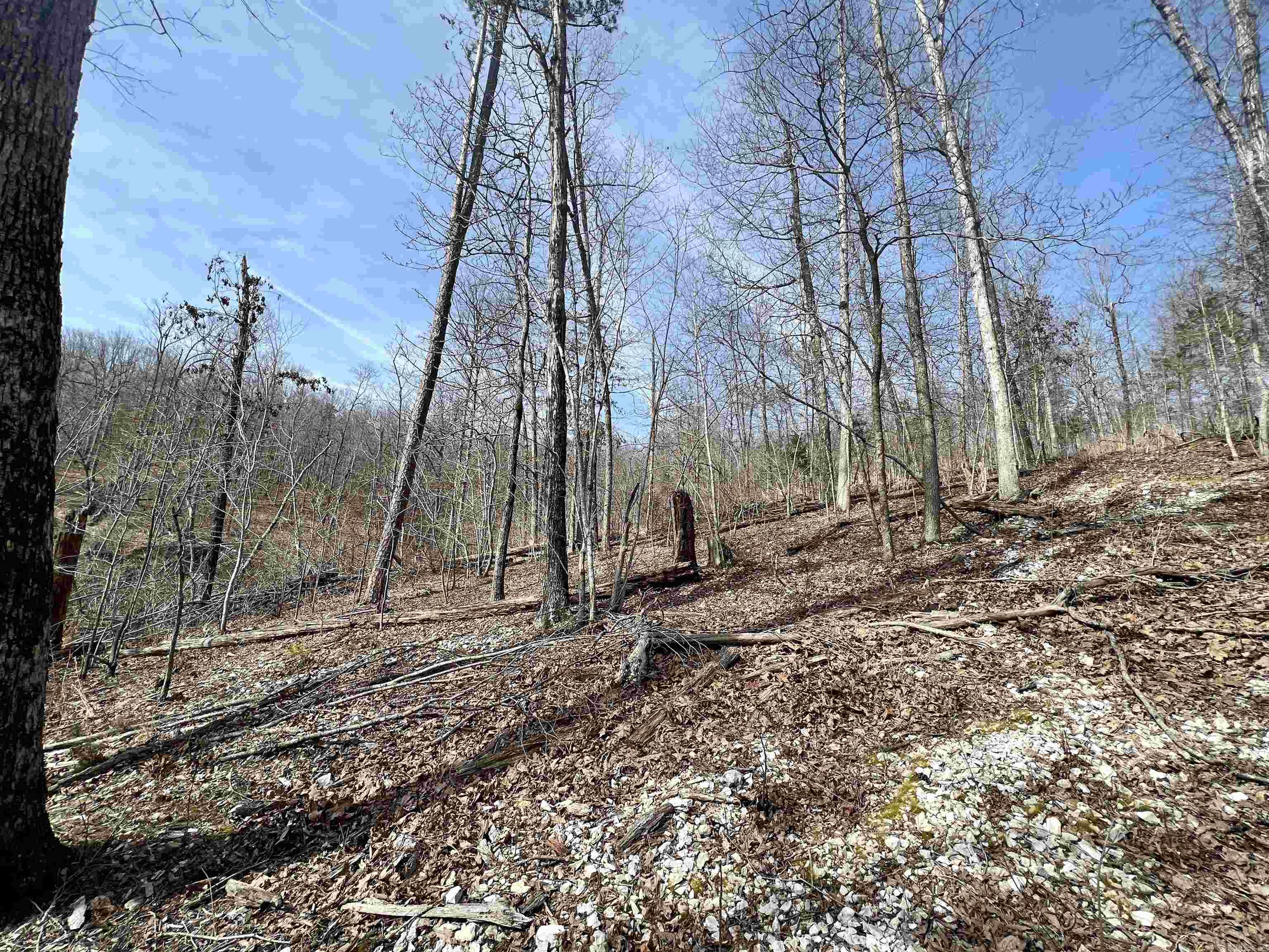 Tract 4 Ramblewood Trail  Yellville, AR