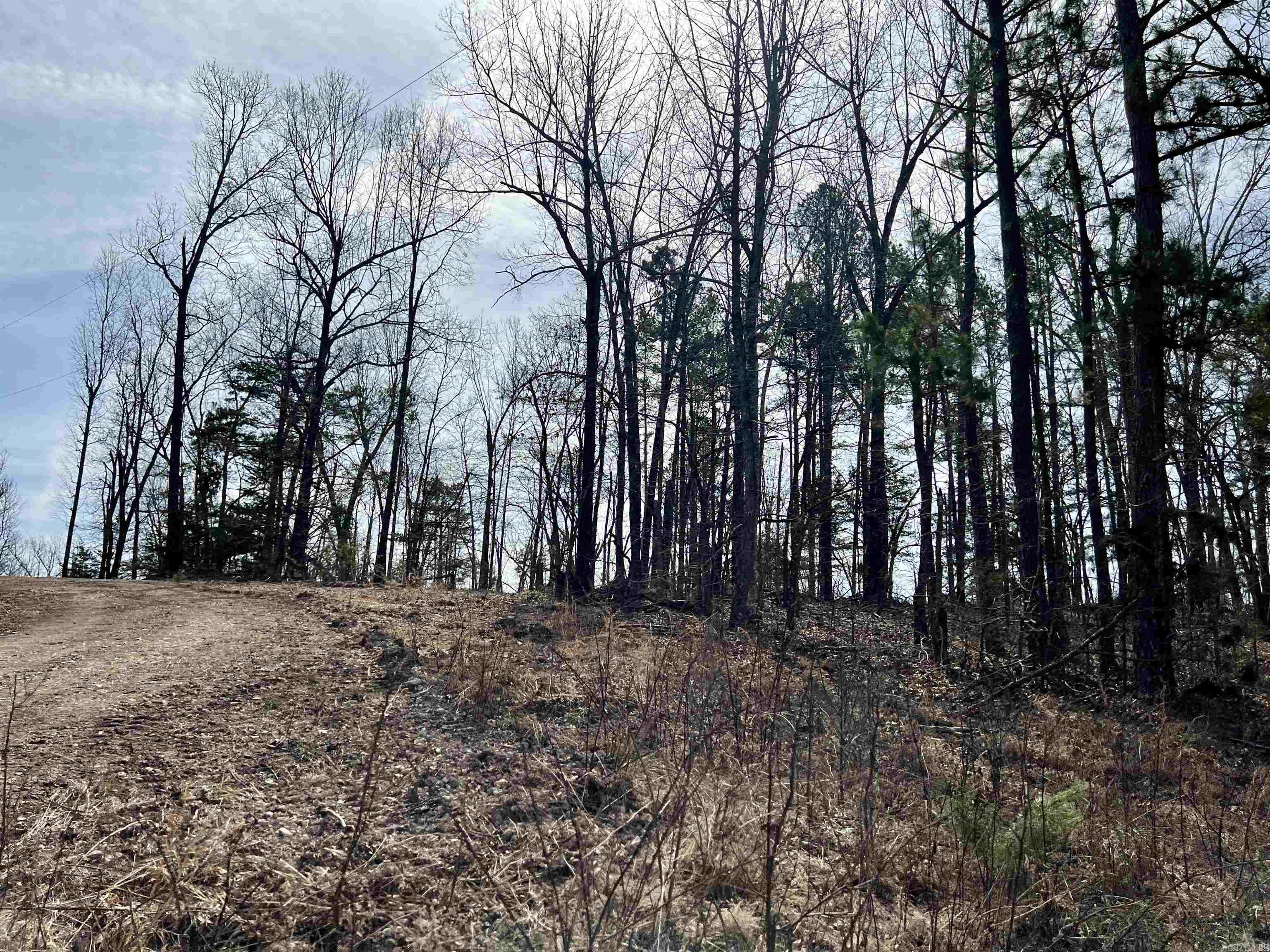 Tract 4 Ramblewood Trail  Yellville, AR