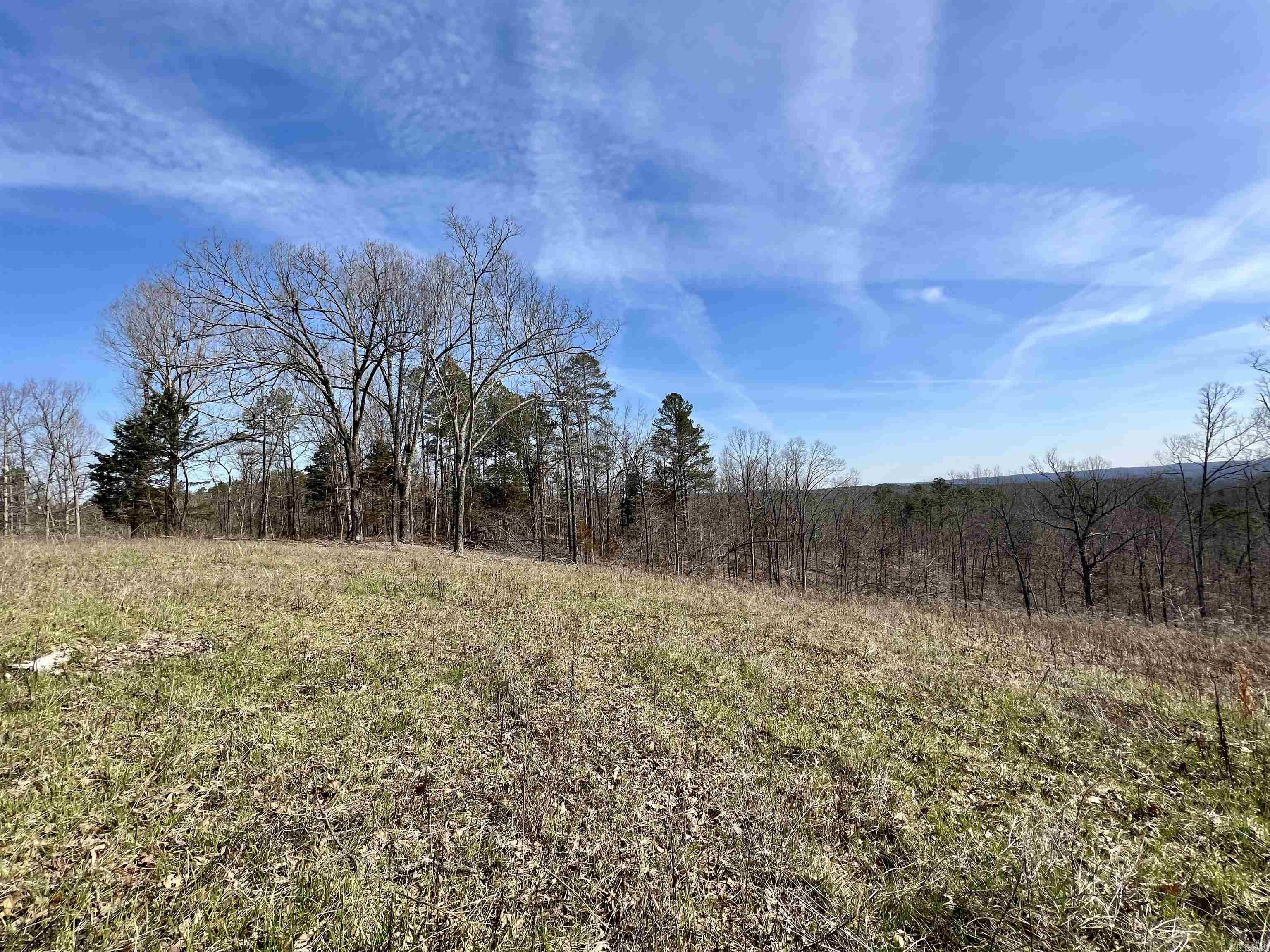 Tract 4 Ramblewood Trail  Yellville, AR