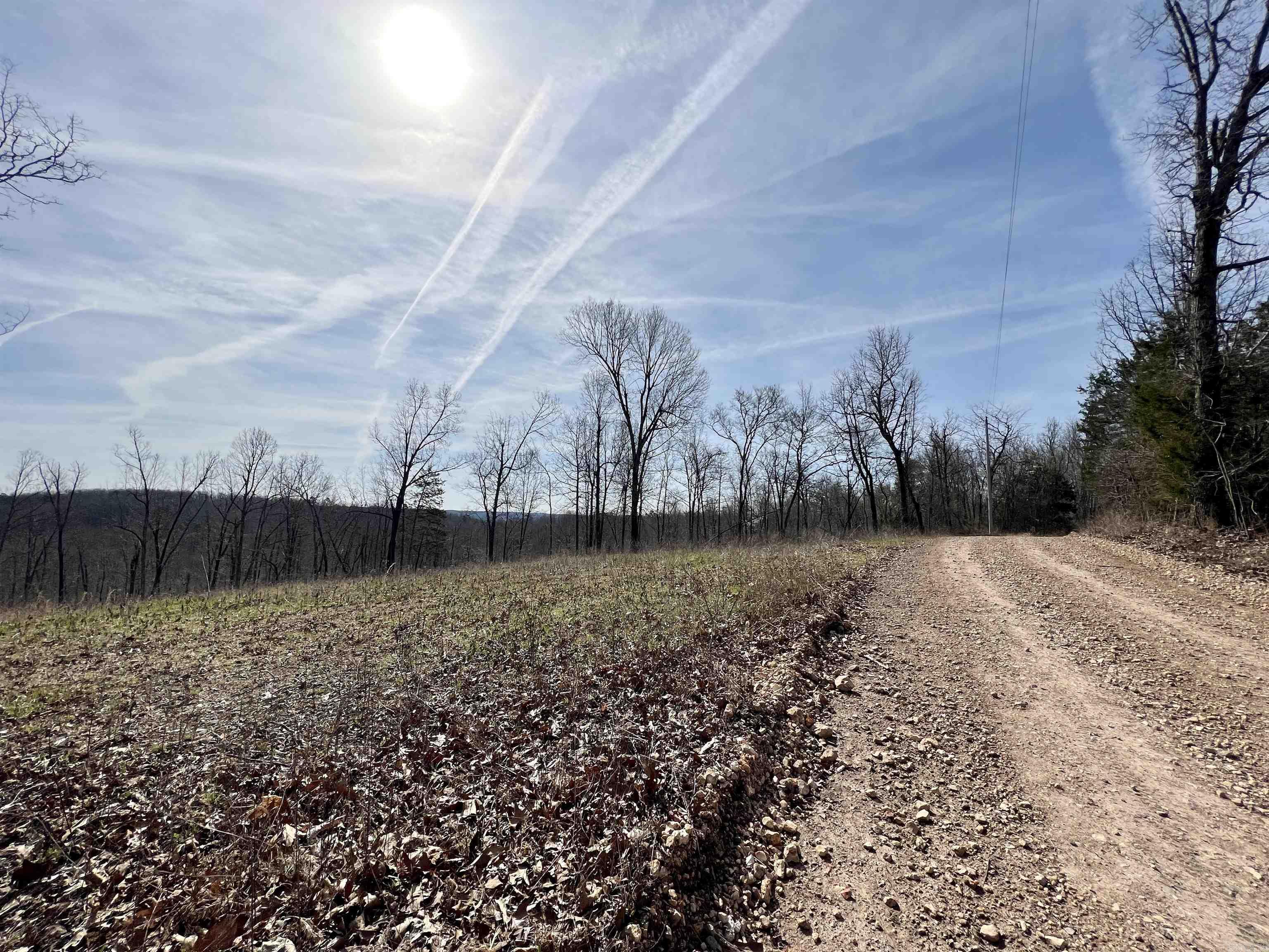 Tract 4 Ramblewood Trail  Yellville, AR