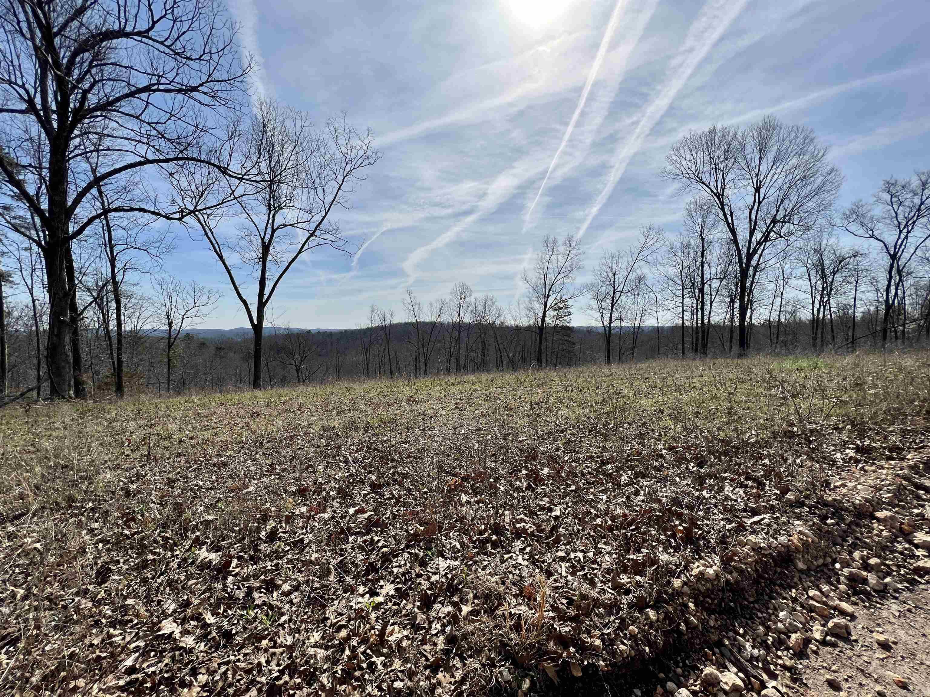 Tract 4 Ramblewood Trail  Yellville, AR