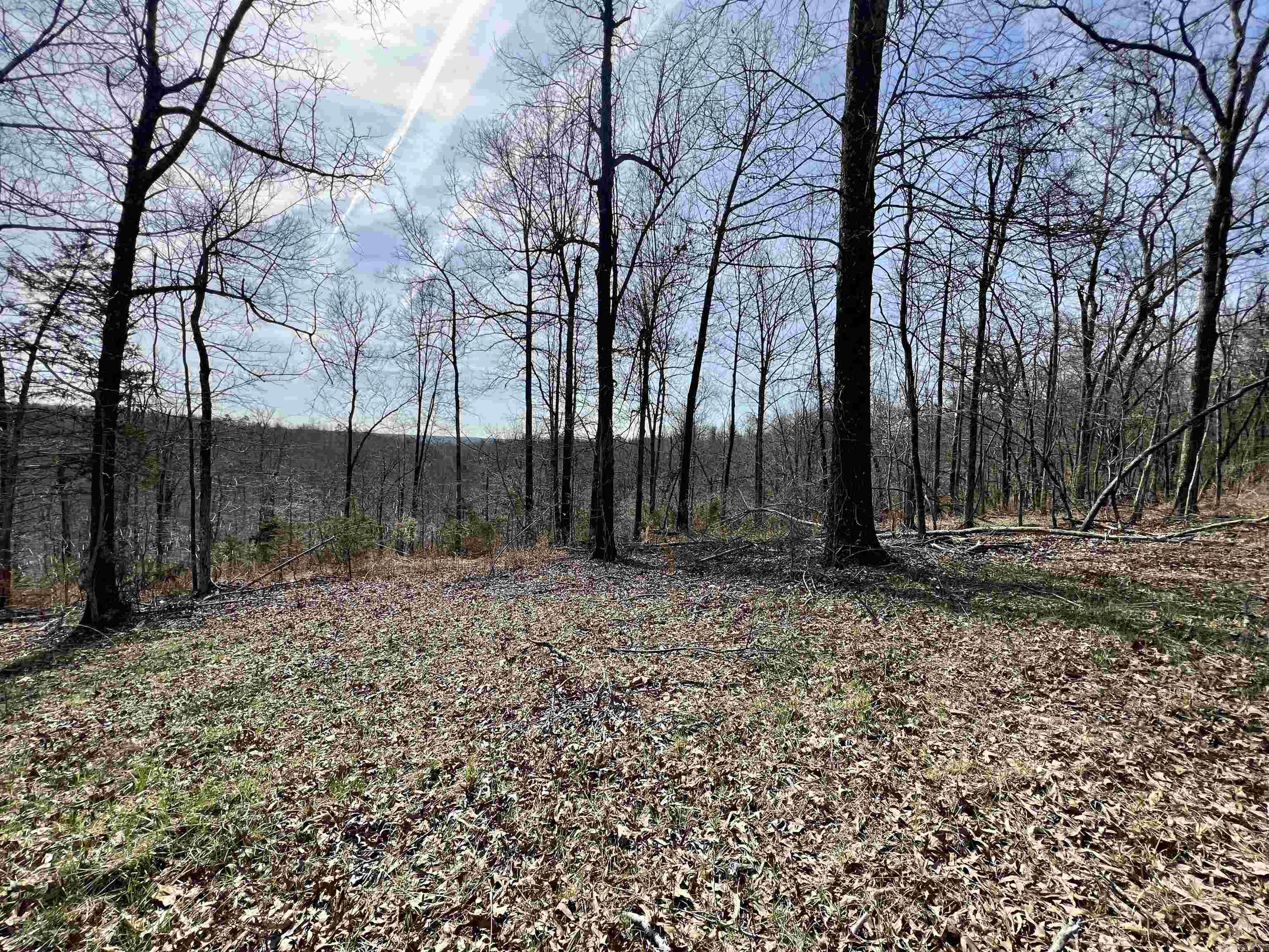 Tract 4 Ramblewood Trail  Yellville, AR