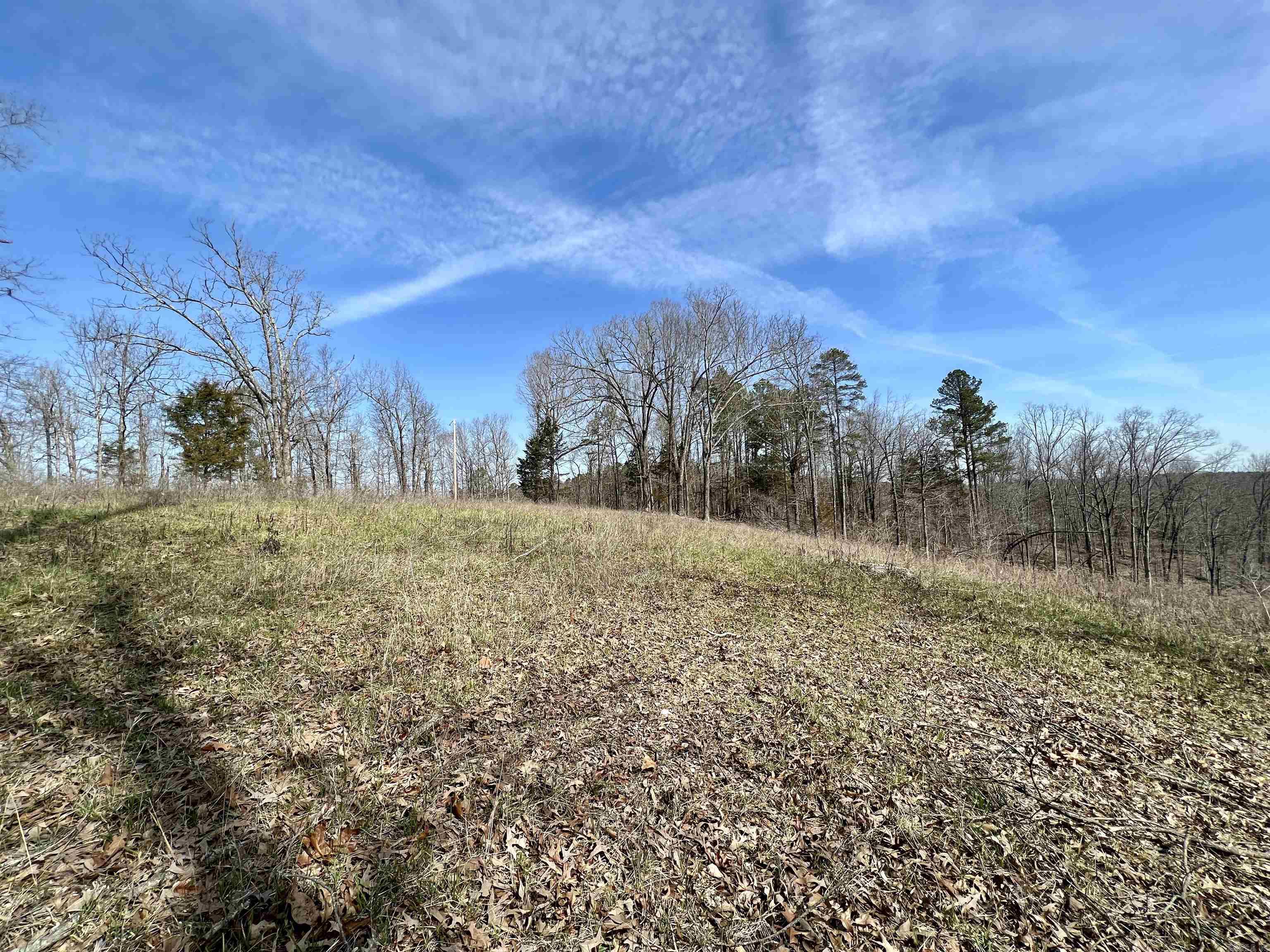 Tract 4 Ramblewood Trail  Yellville, AR