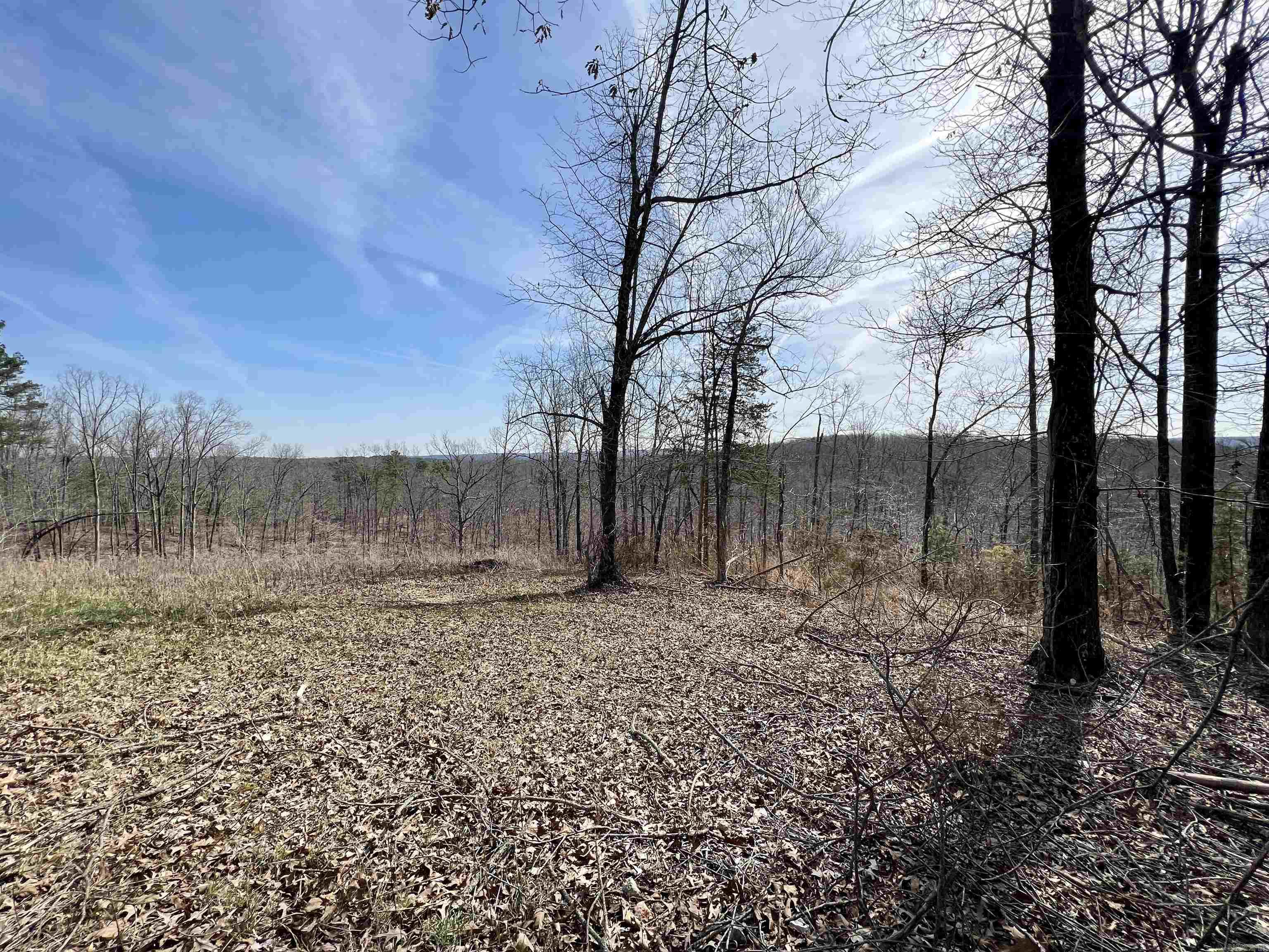 Tract 4 Ramblewood Trail  Yellville, AR