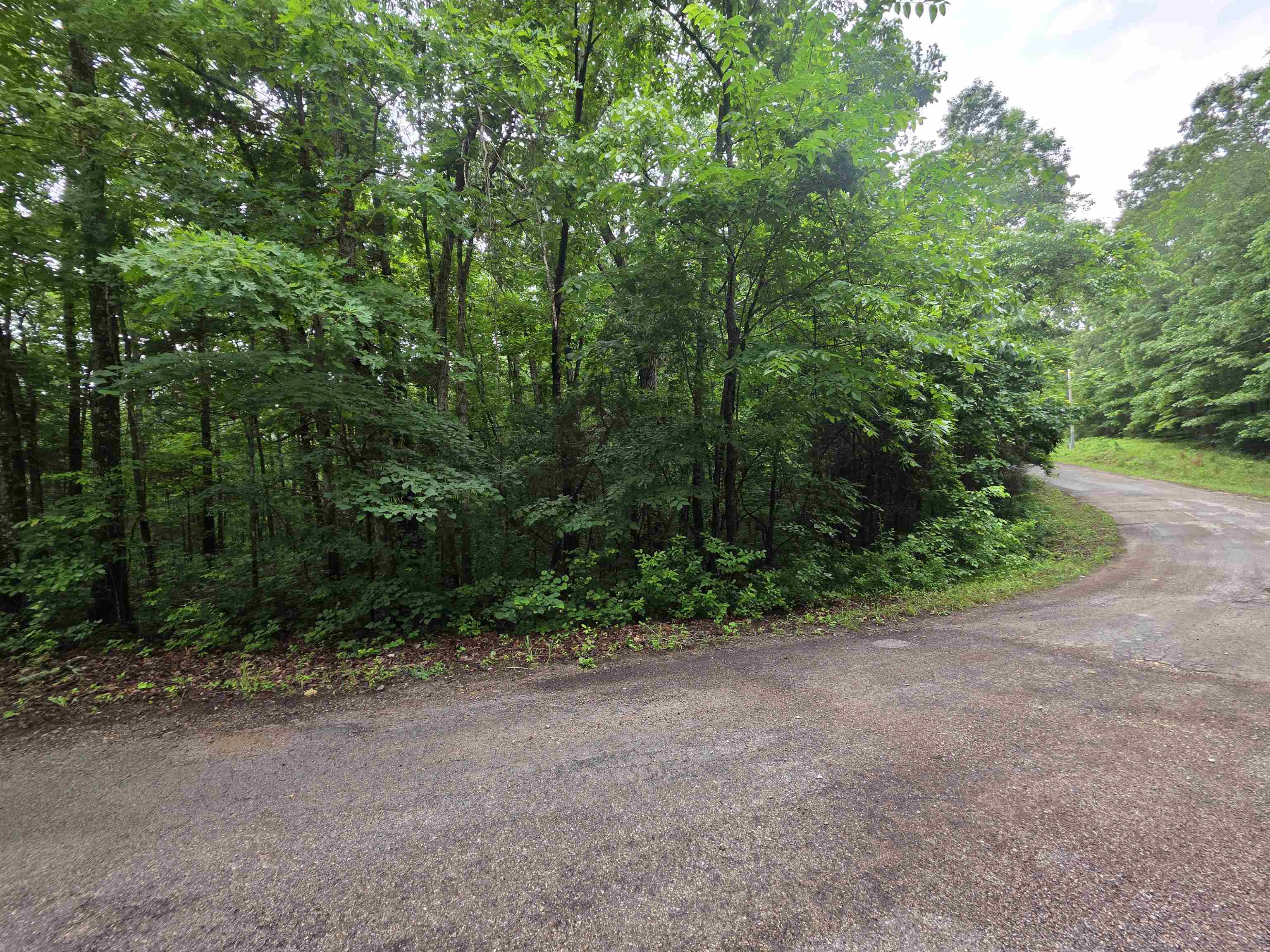 L-47, B-2 Saskatchewan  Cherokee Village, AR