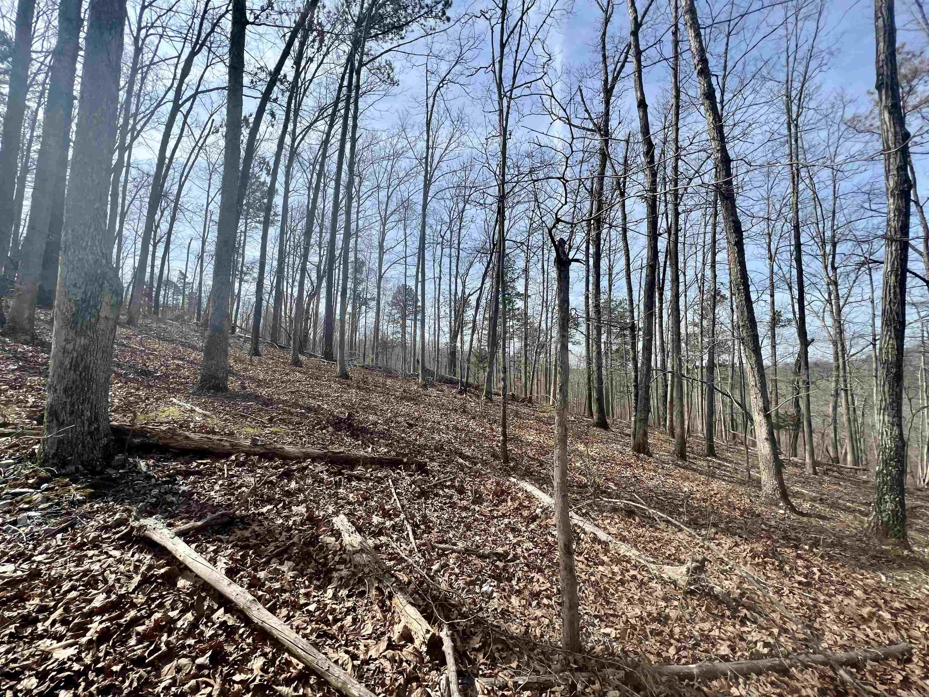 Tract 5 Ramblewood Trail  Yellville, AR