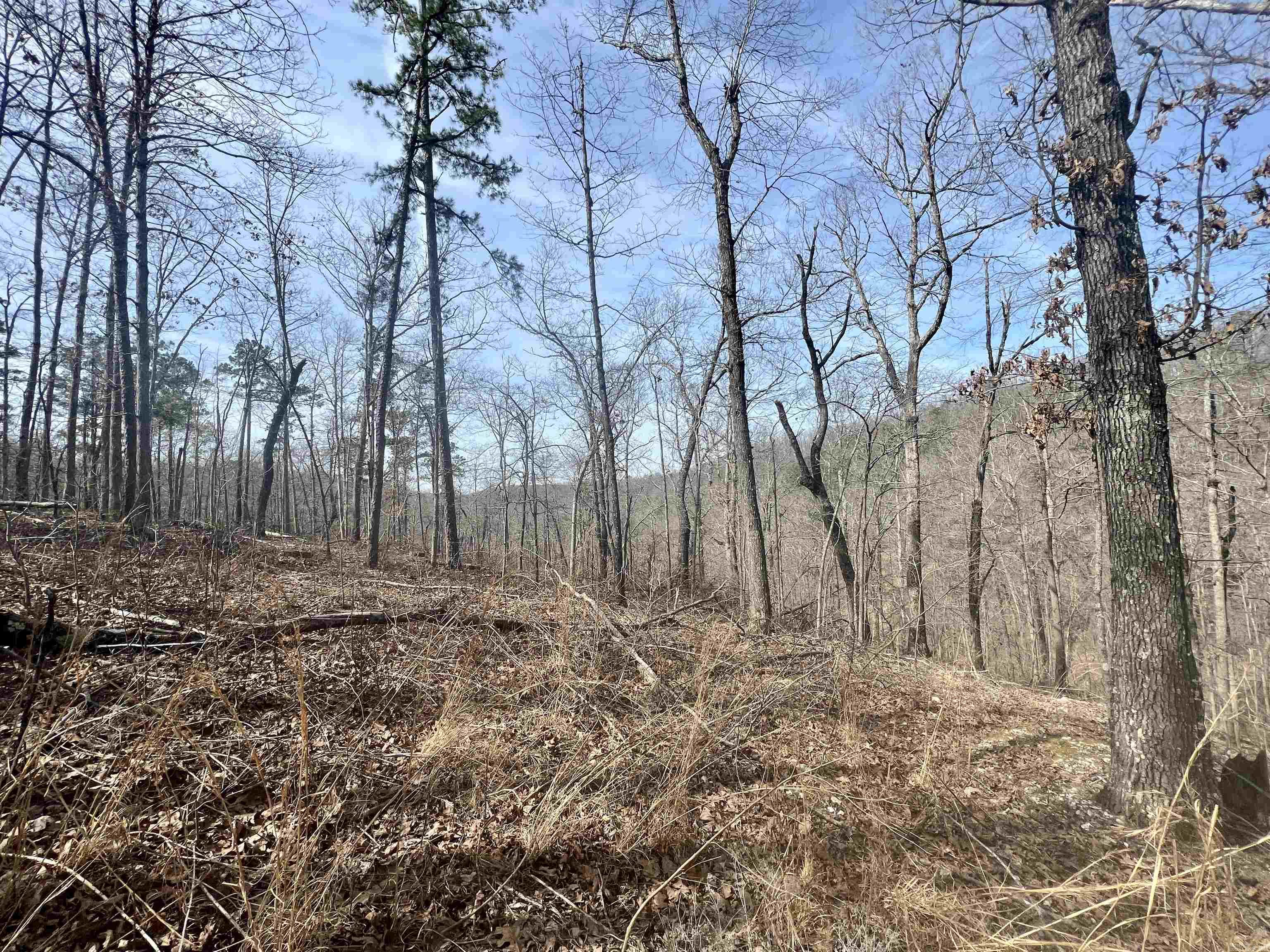 Tract 5 Ramblewood Trail  Yellville, AR
