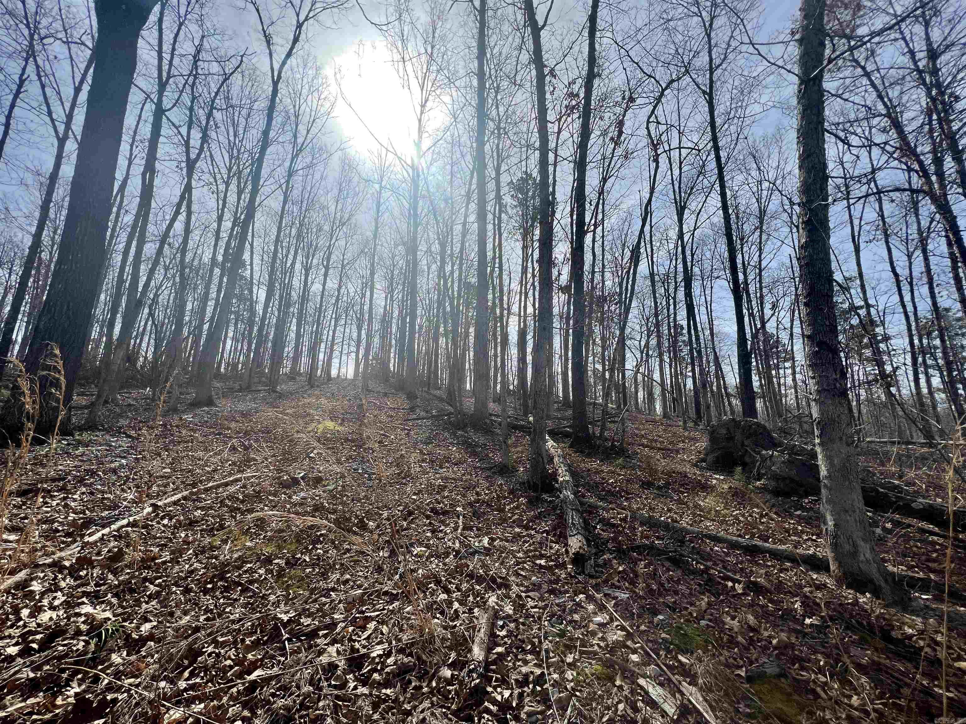 Tract 5 Ramblewood Trail  Yellville, AR