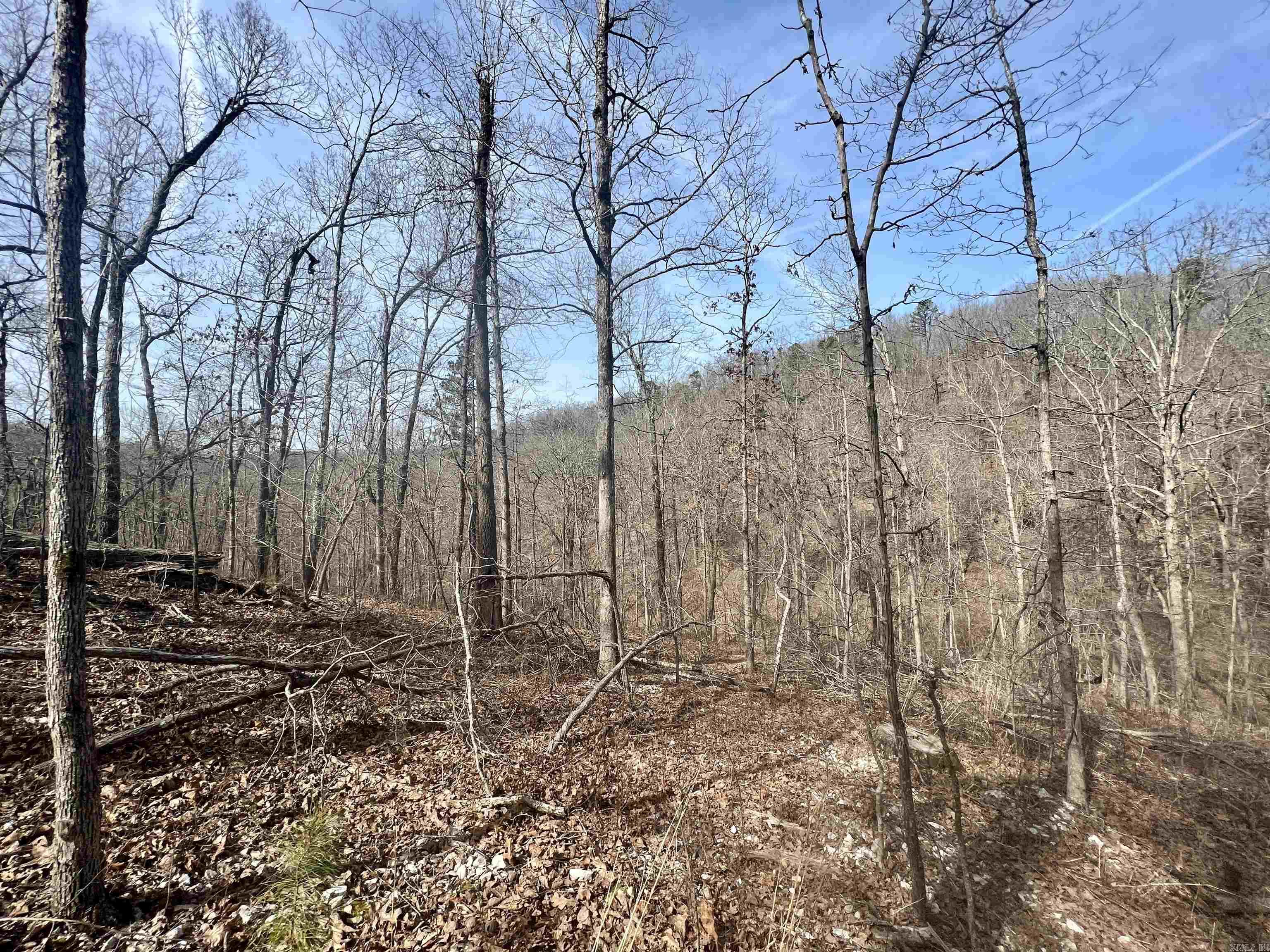 Tract 5 Ramblewood Trail  Yellville, AR