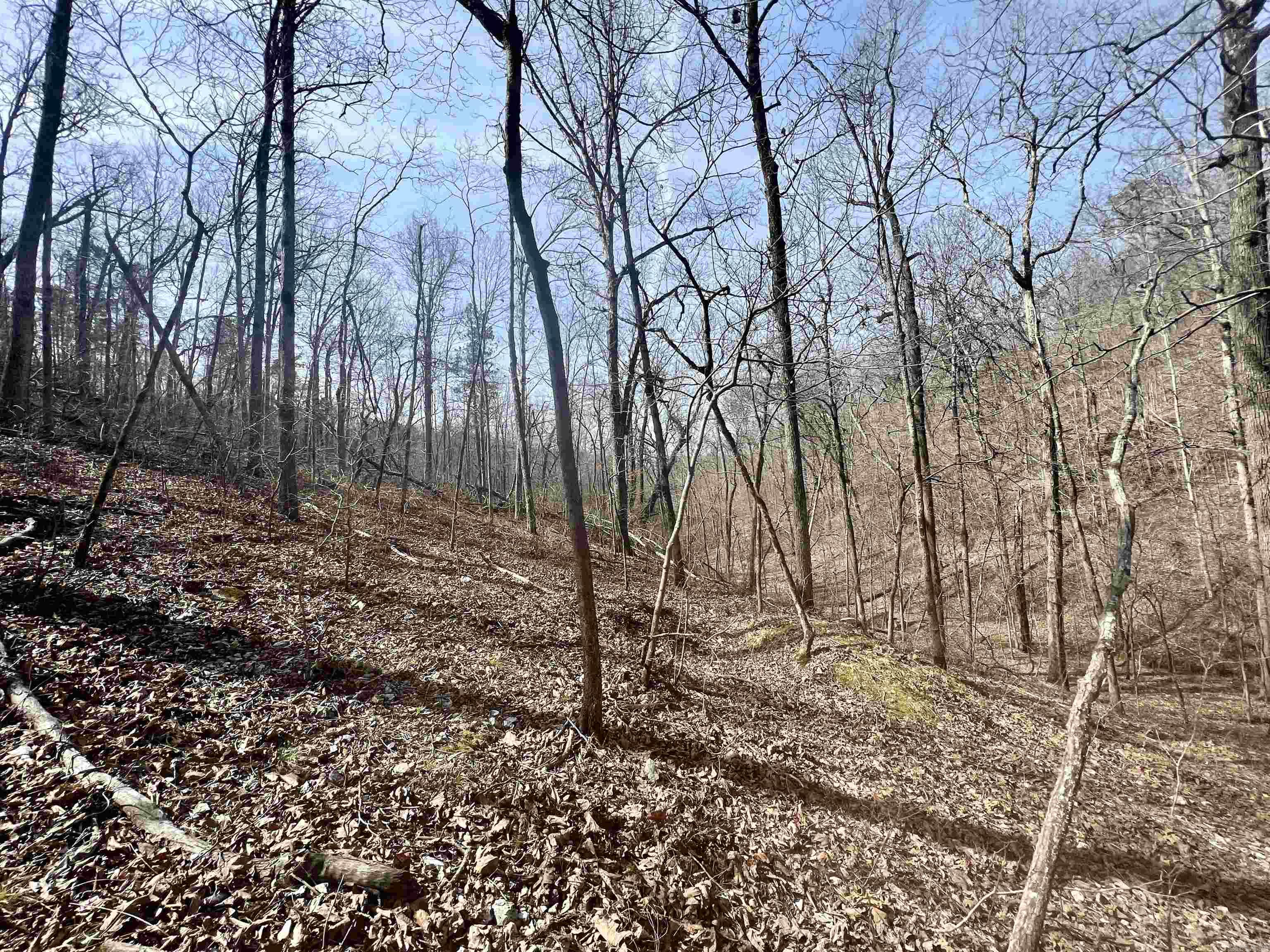 Tract 5 Ramblewood Trail  Yellville, AR