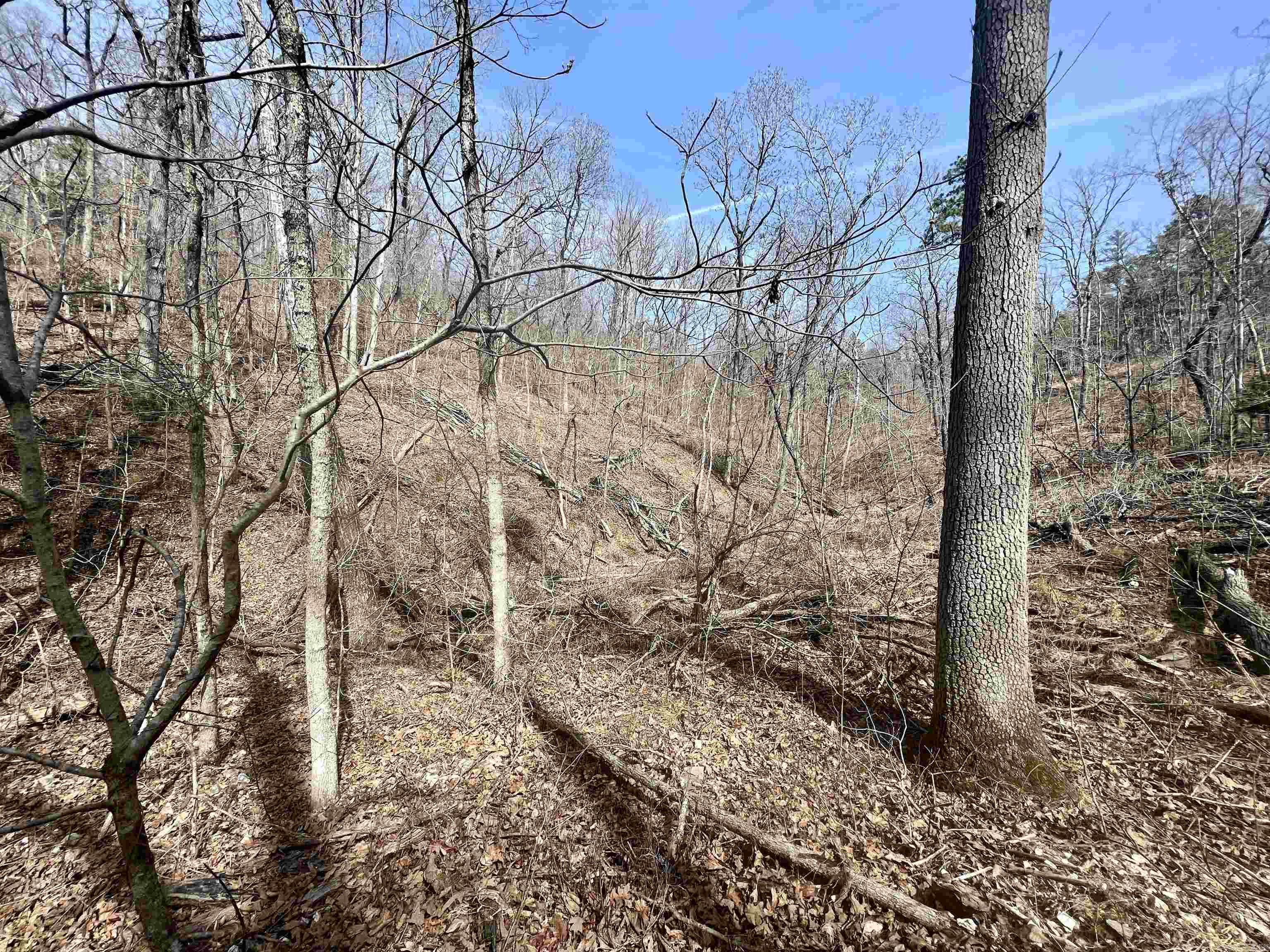Tract 5 Ramblewood Trail  Yellville, AR