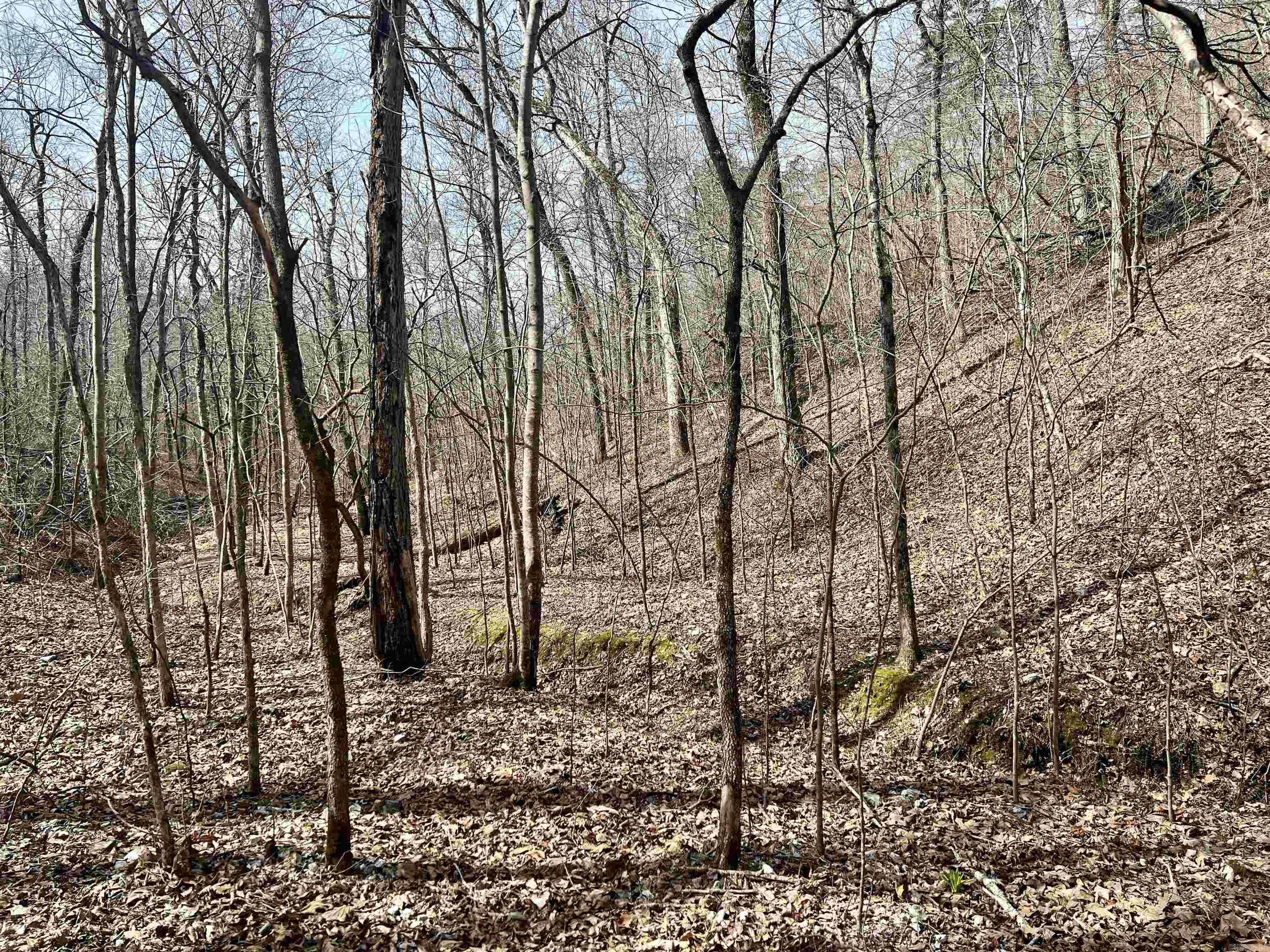 Tract 5 Ramblewood Trail  Yellville, AR