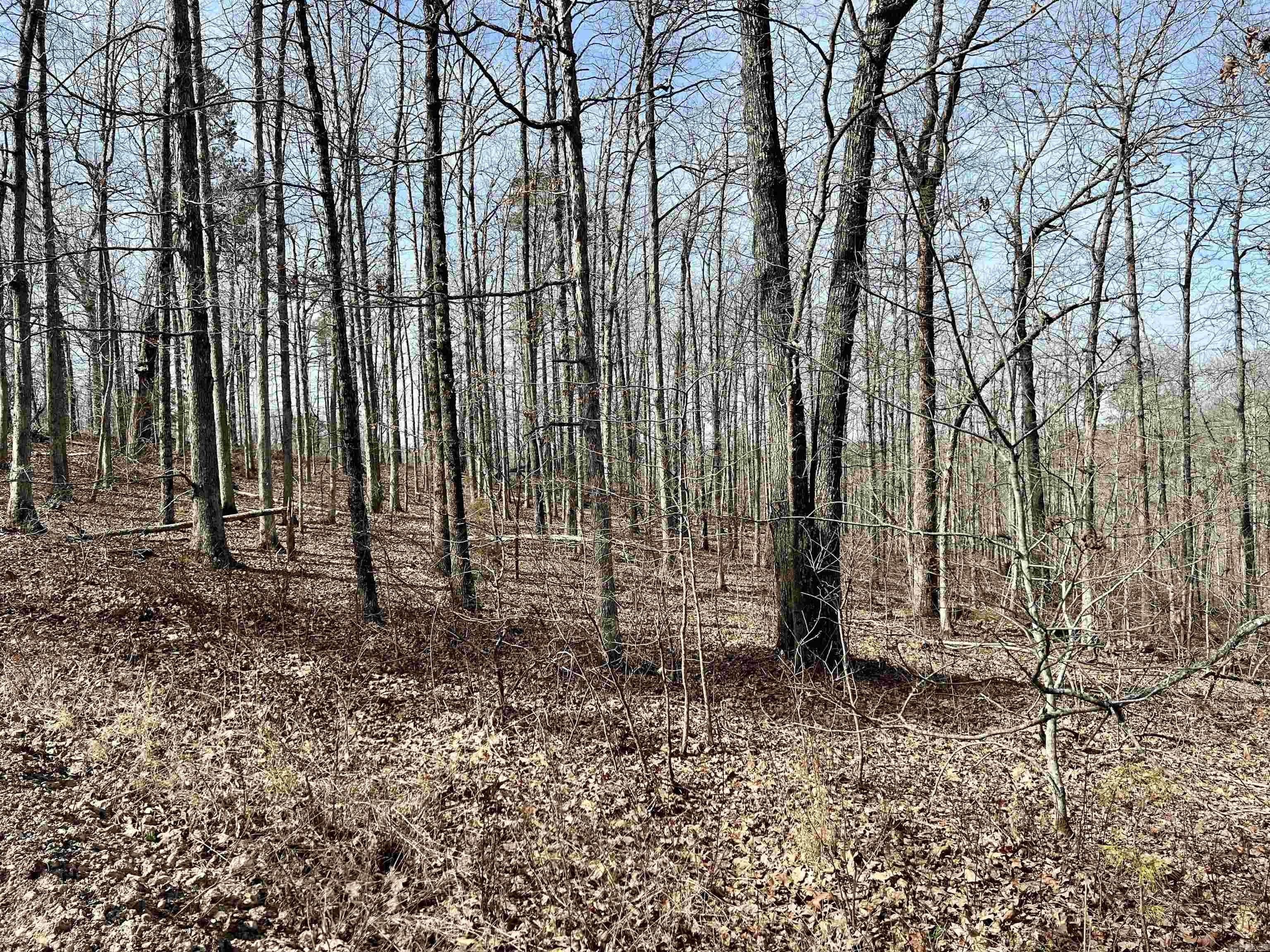 Tract 5 Ramblewood Trail  Yellville, AR