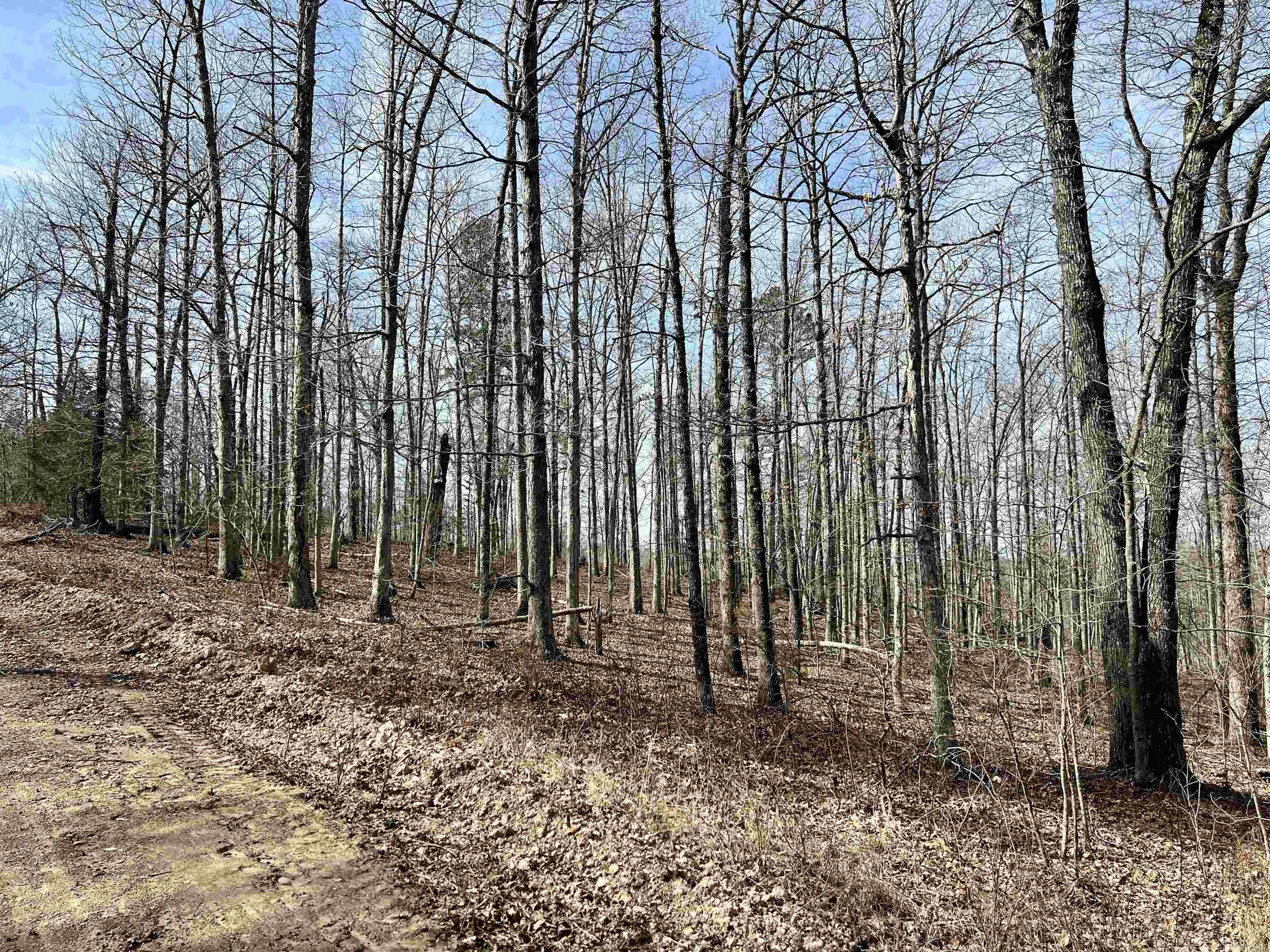 Tract 5 Ramblewood Trail  Yellville, AR
