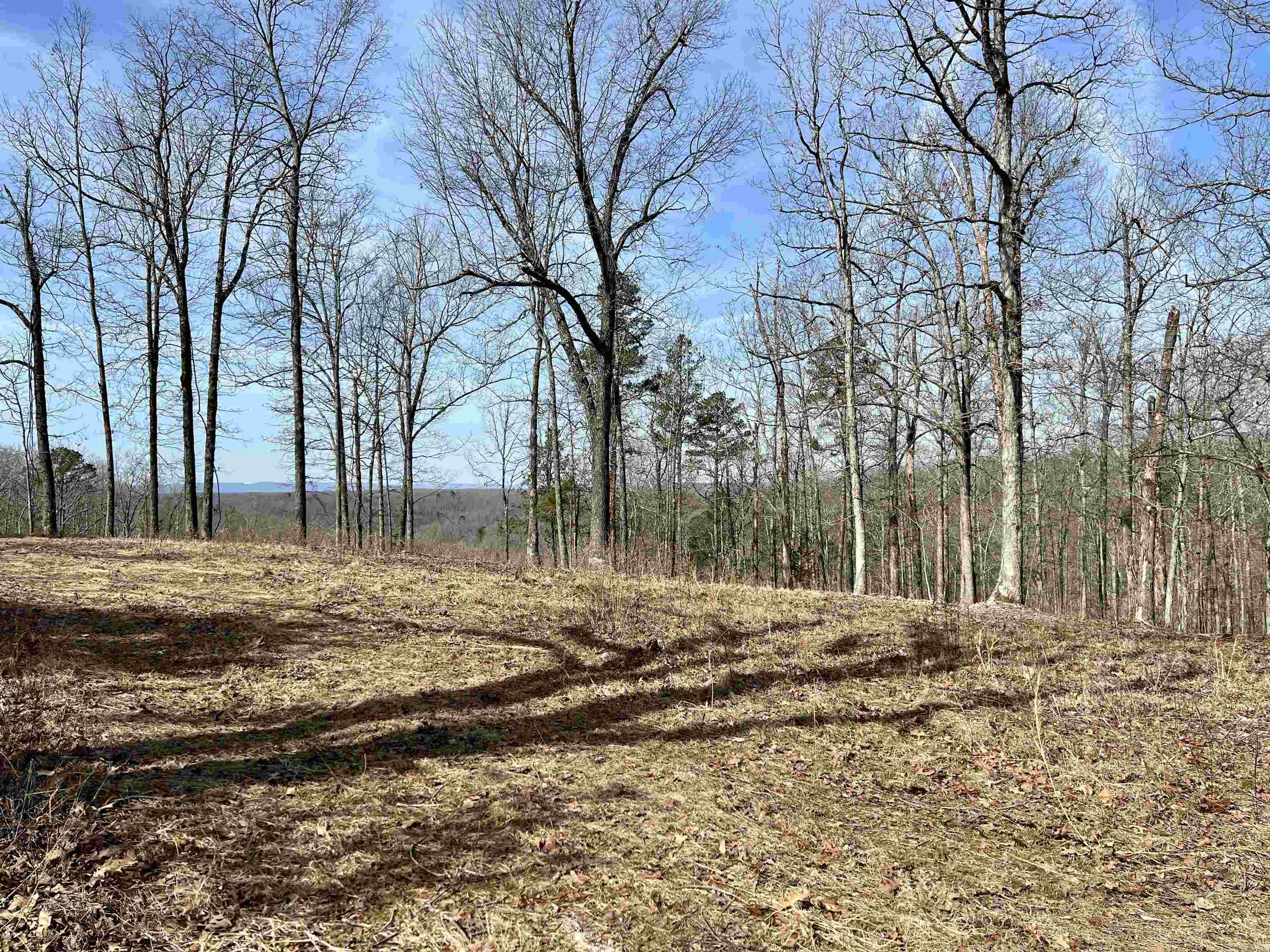 Tract 5 Ramblewood Trail  Yellville, AR