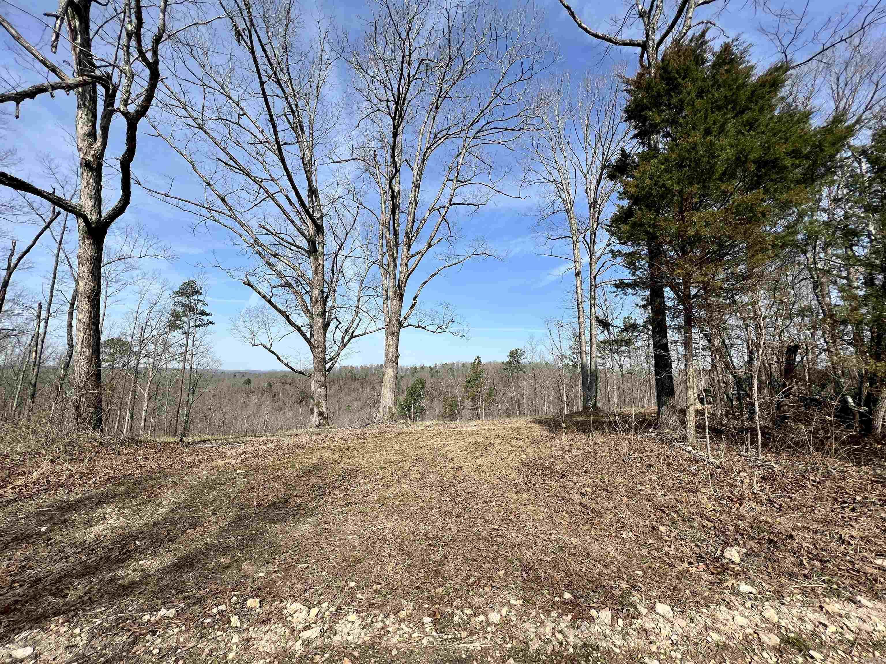 Tract 5 Ramblewood Trail  Yellville, AR