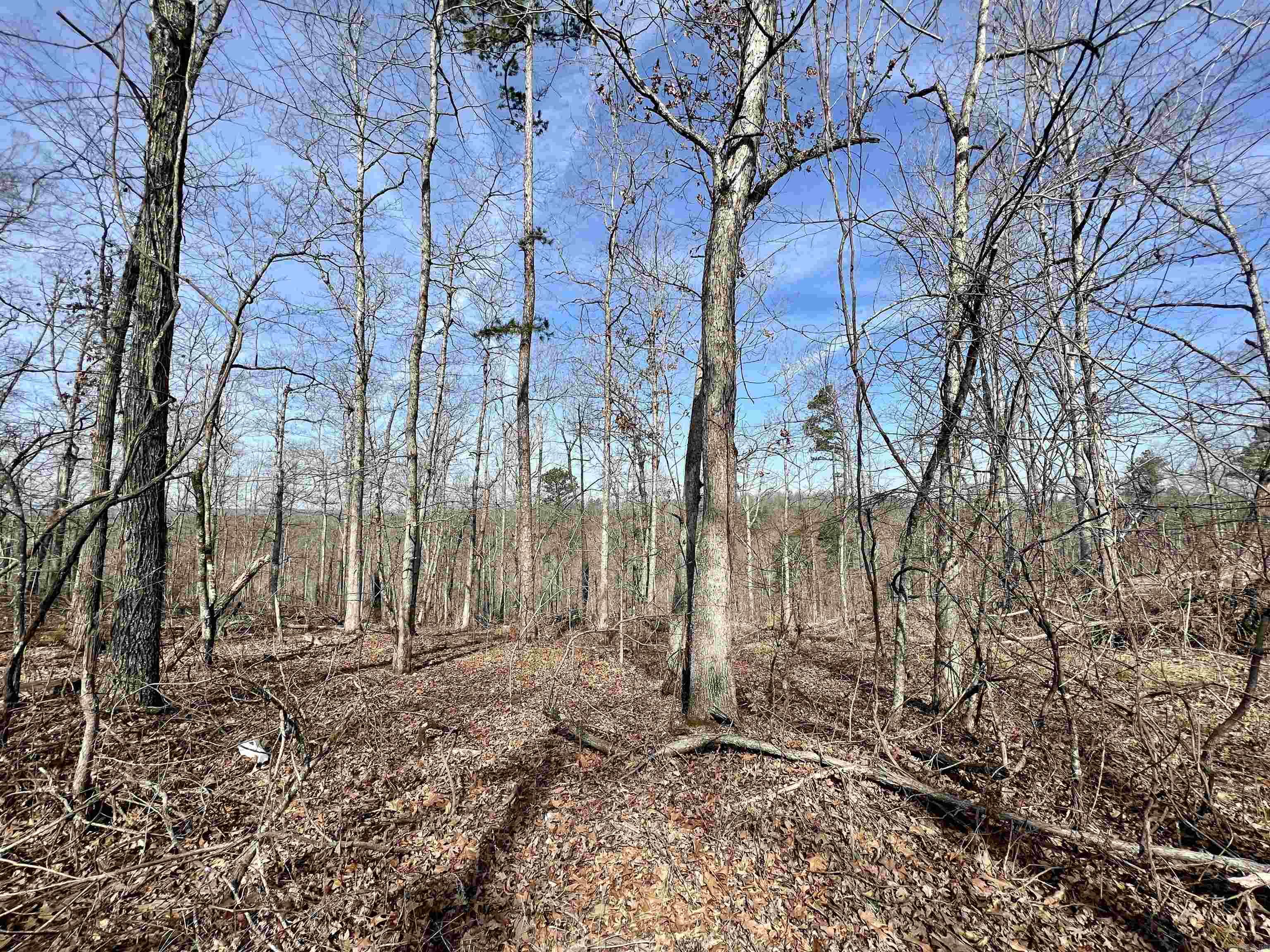 Tract 5 Ramblewood Trail  Yellville, AR