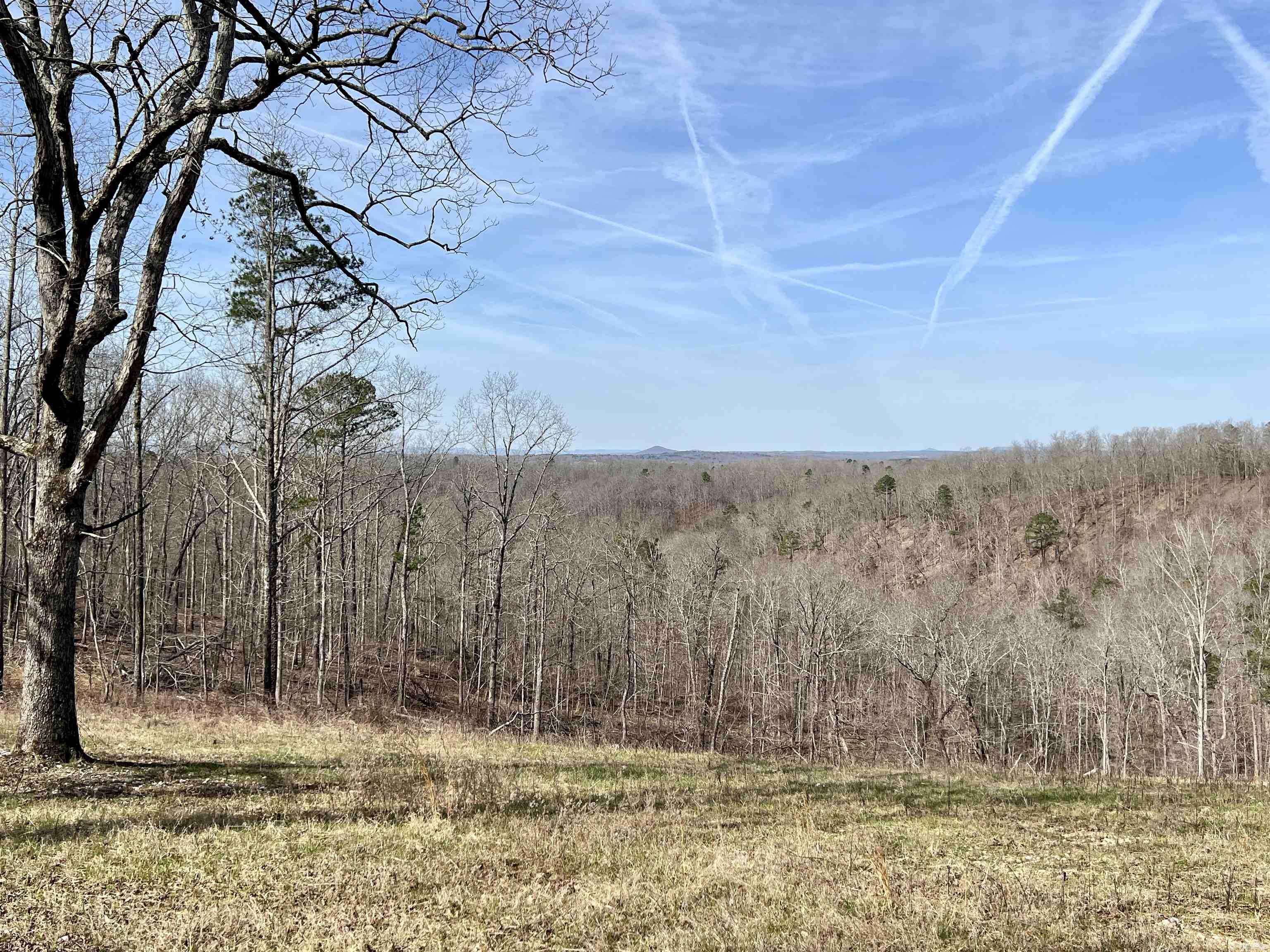 Tract 5 Ramblewood Trail  Yellville, AR