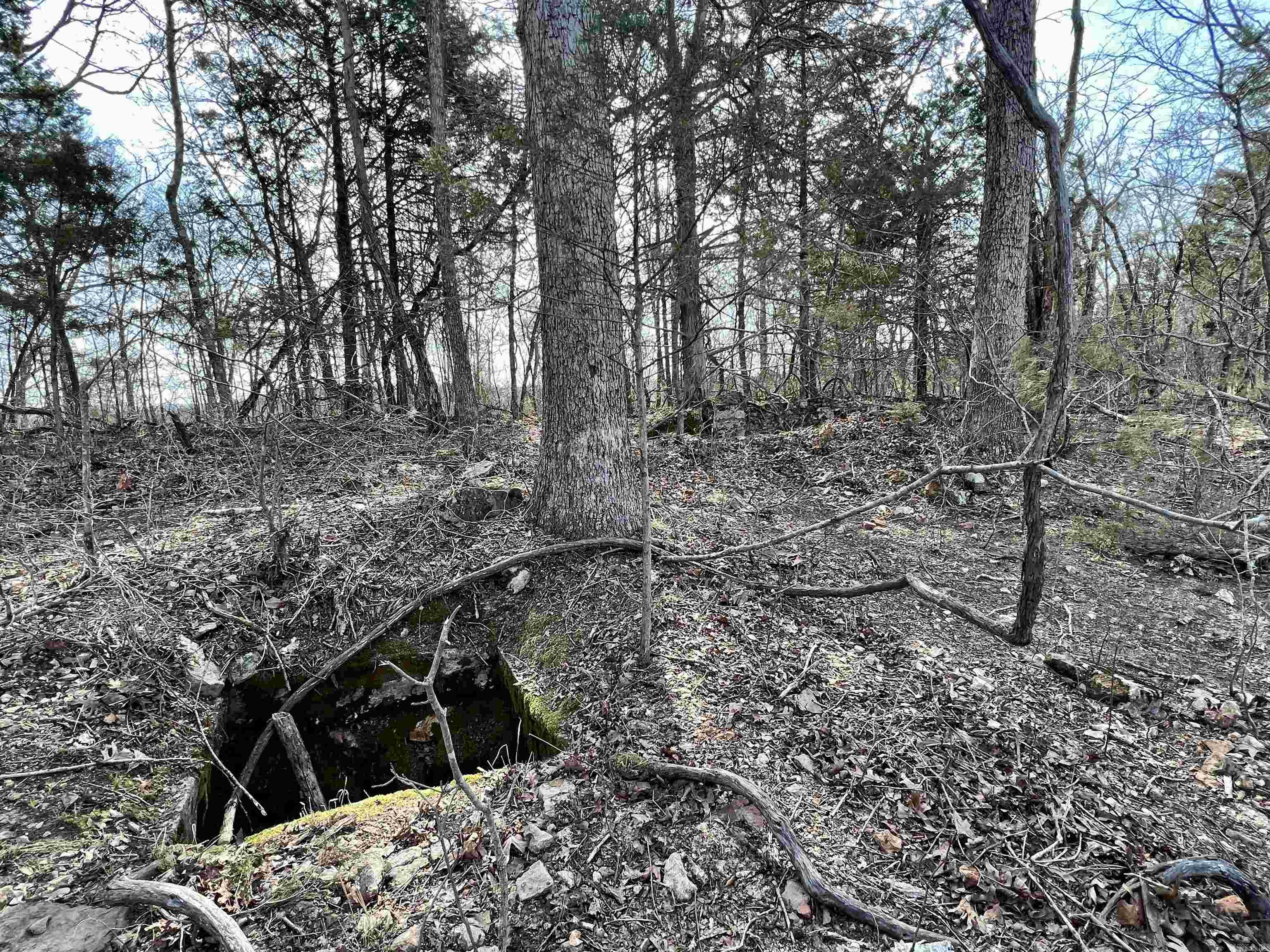 Tract 5 Ramblewood Trail  Yellville, AR