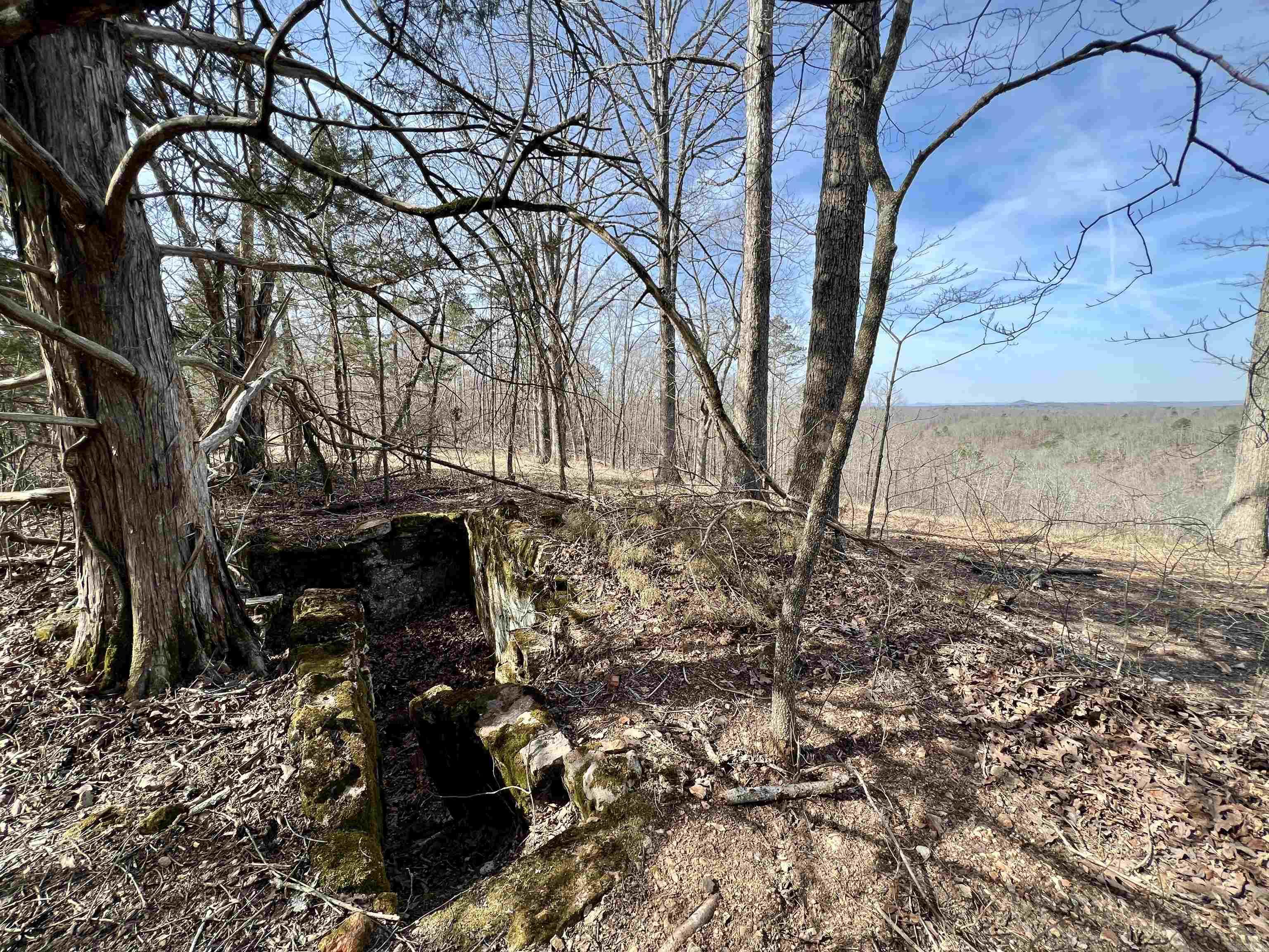 Tract 5 Ramblewood Trail  Yellville, AR